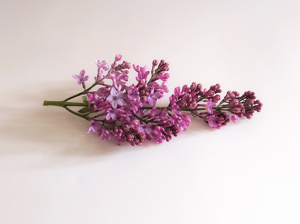 a bunch of purple flowers sitting on top of a white table