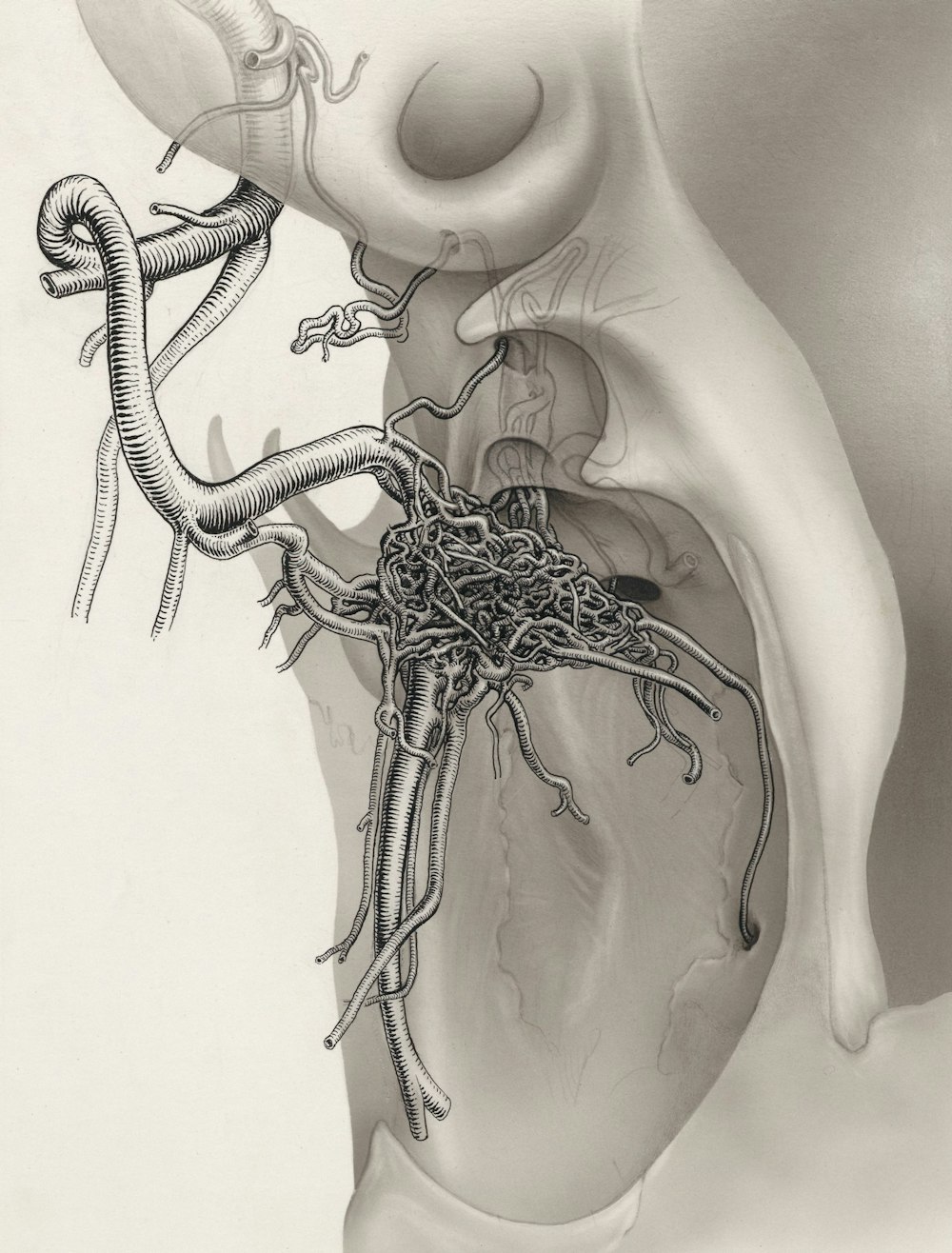 Un dibujo del interior de un corazón humano