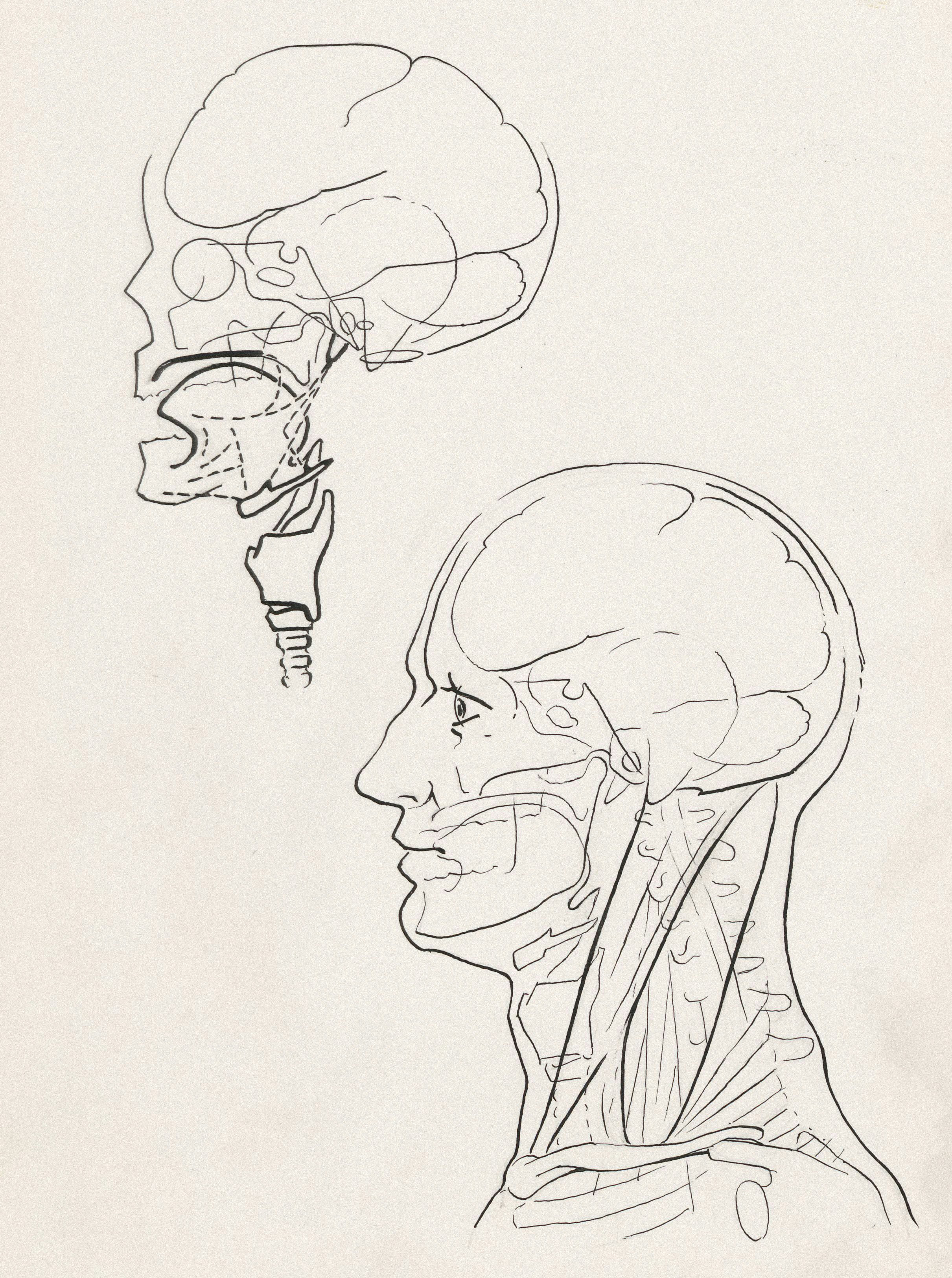 Review: Best Headless CMS Options for UK Creators (2026 Hands-On)