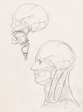 a black and white drawing of a human head
