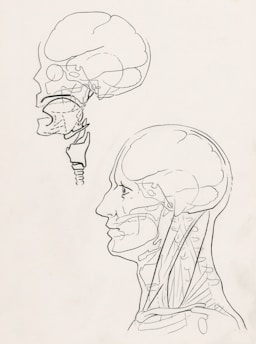 a black and white drawing of a human head