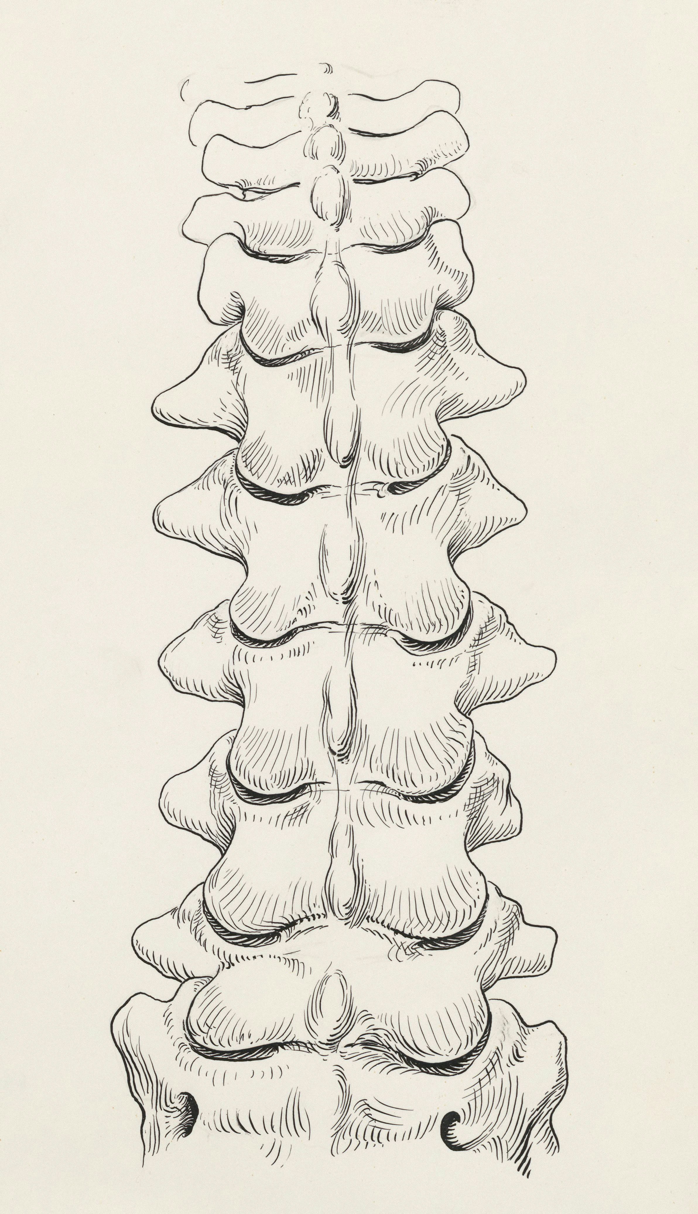 Positive and Negative Constitutionalism: The Right to Government Action