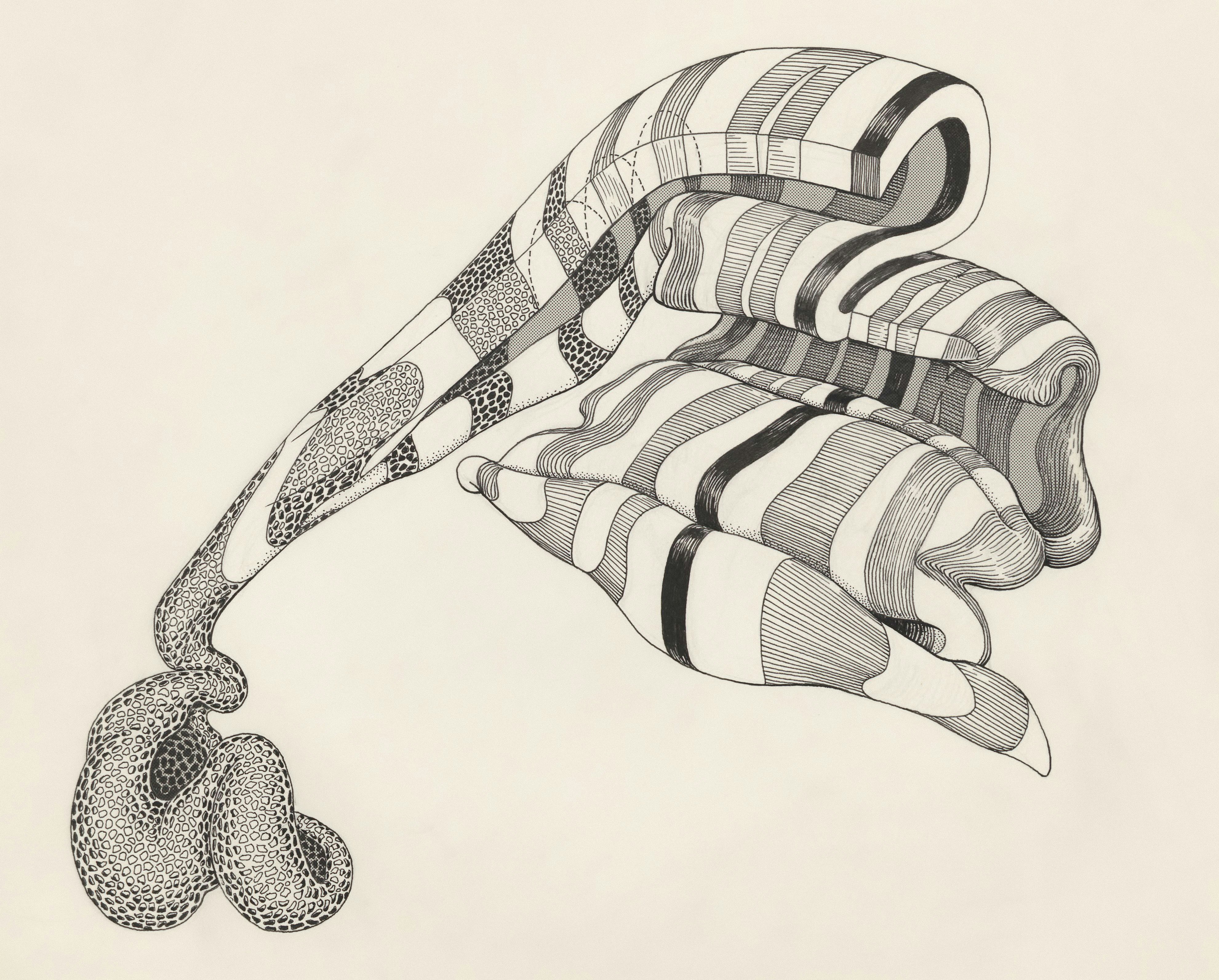 Gut Bacteria and MS: What You Need to Know