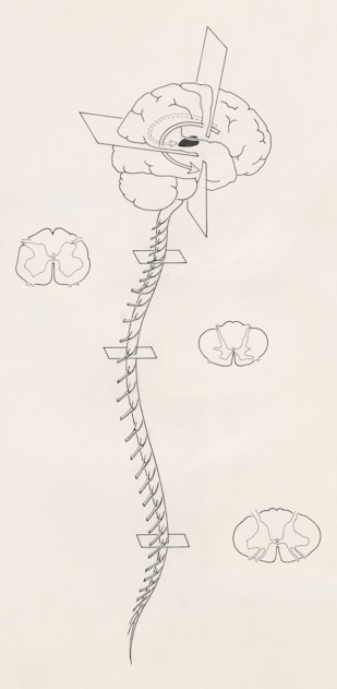 a black and white drawing of a spiral of life