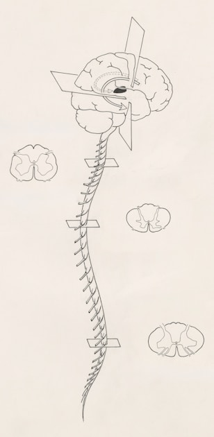 What Is Your Nervous System Type?