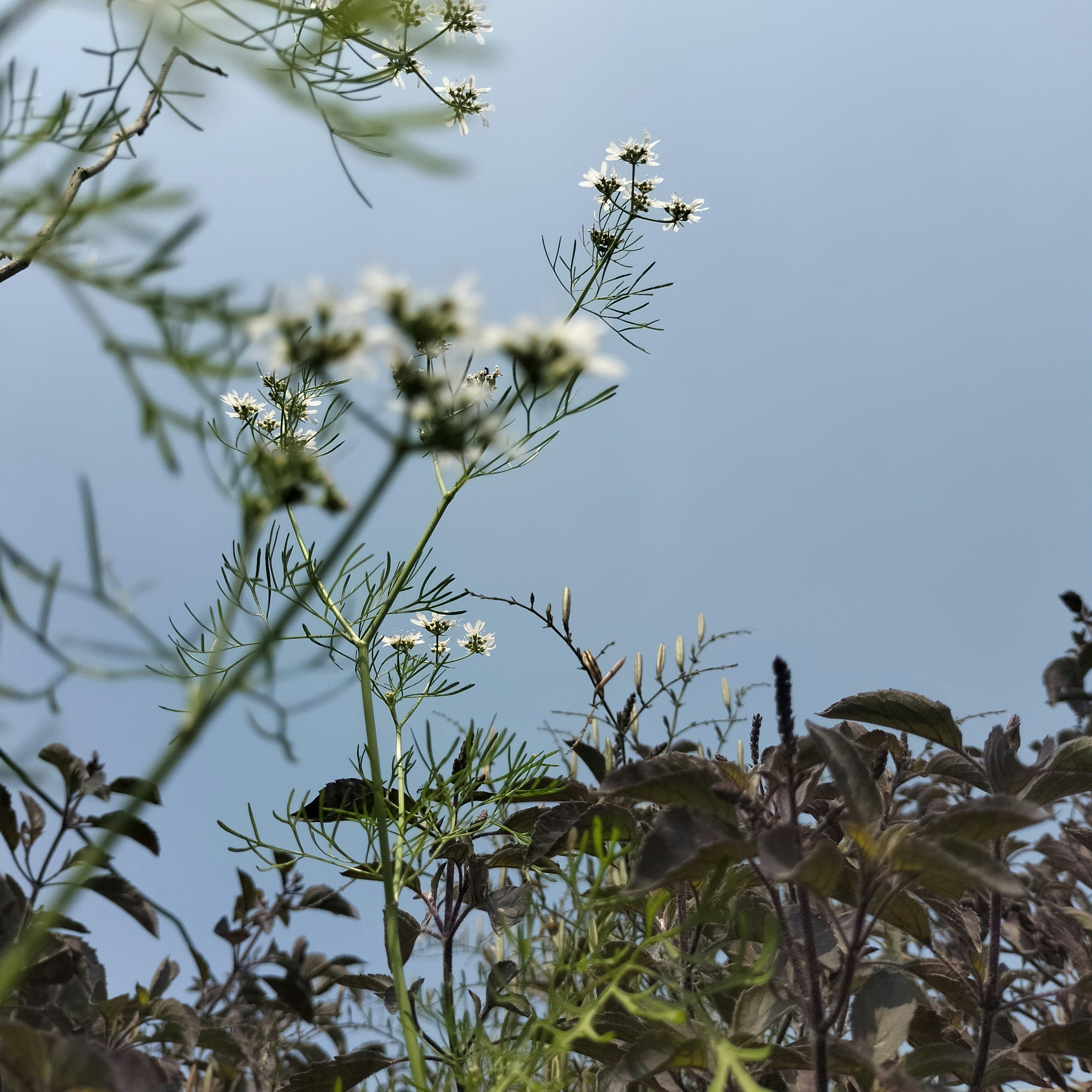 Photo by parvinaktar