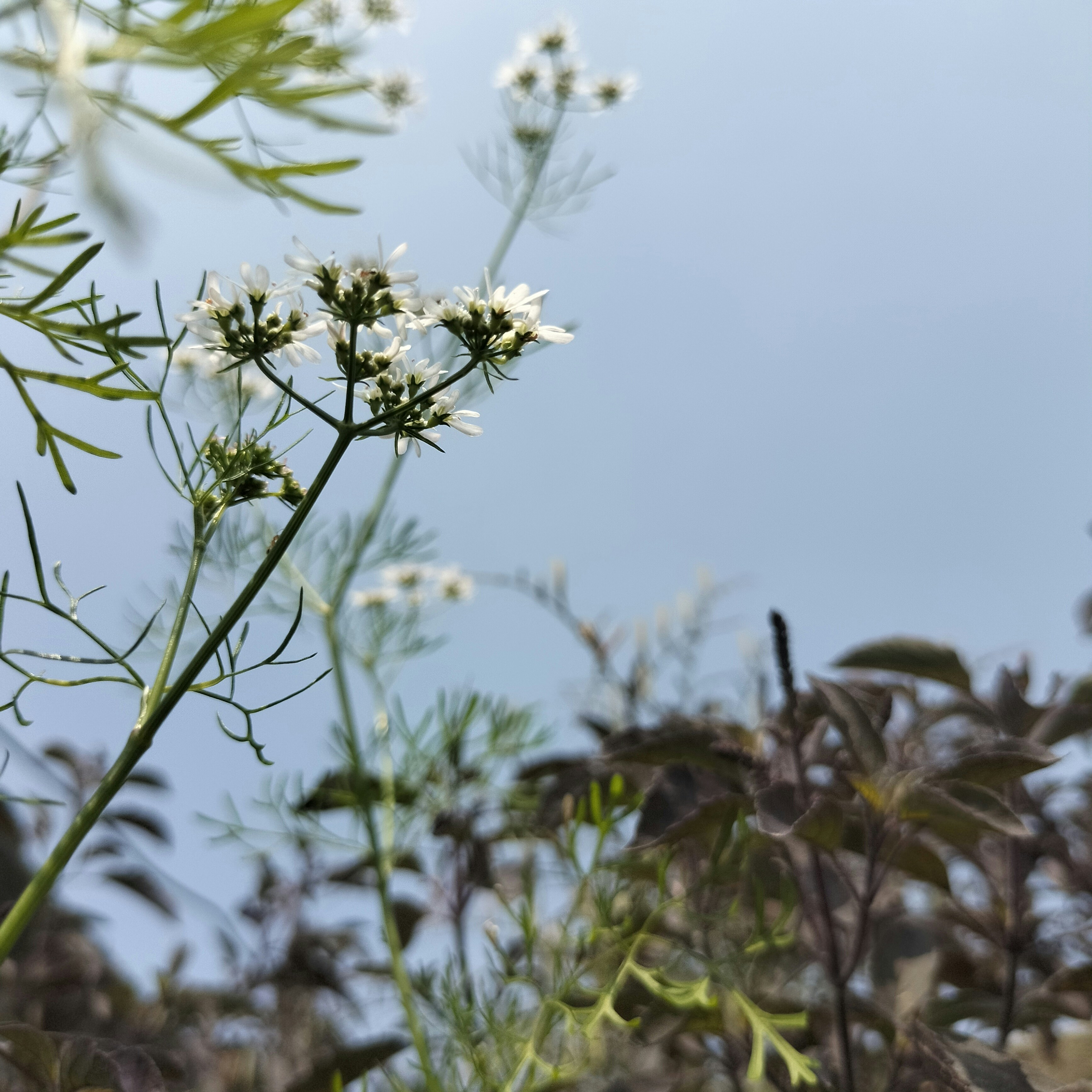 Photo by parvinaktar