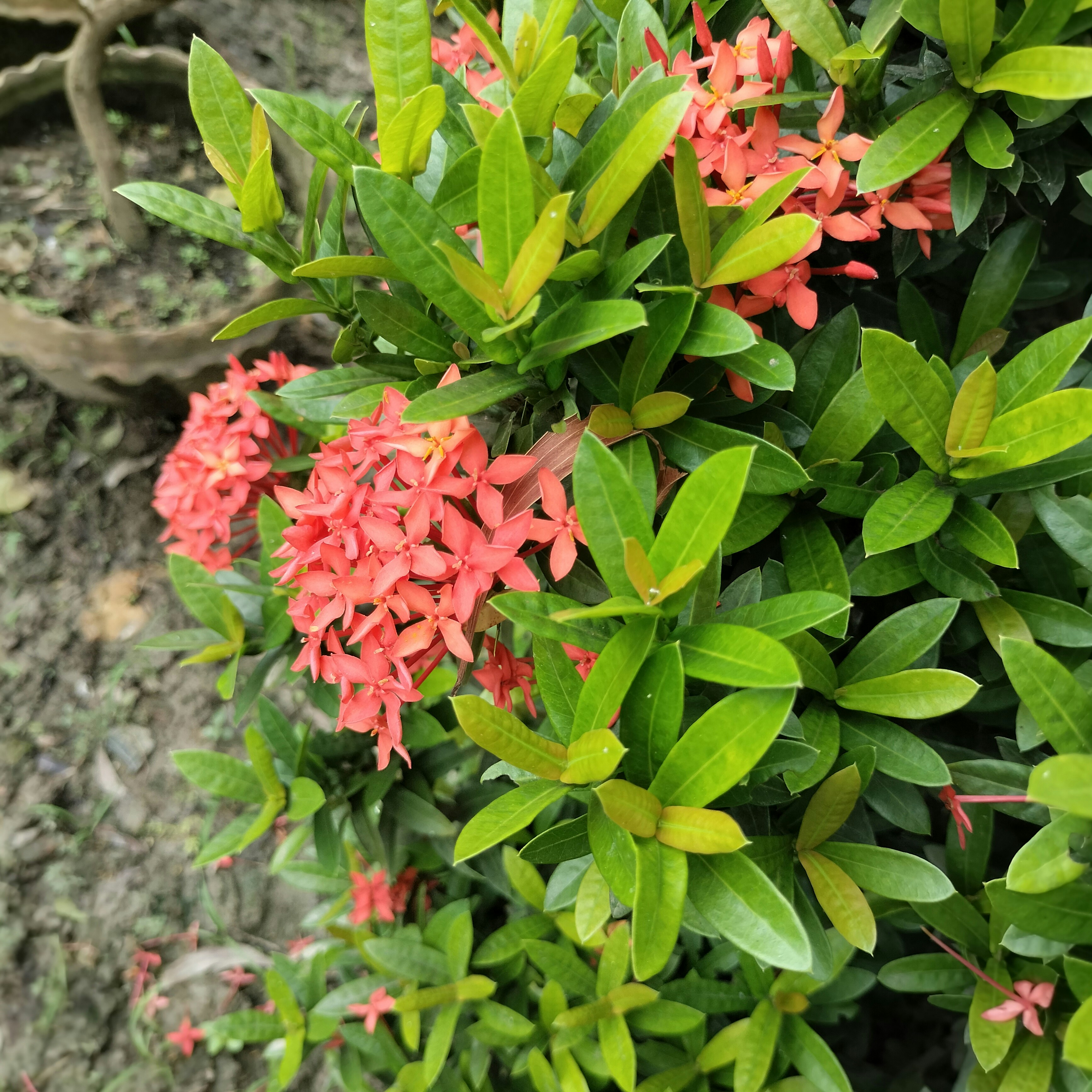 Photo by parvinaktar