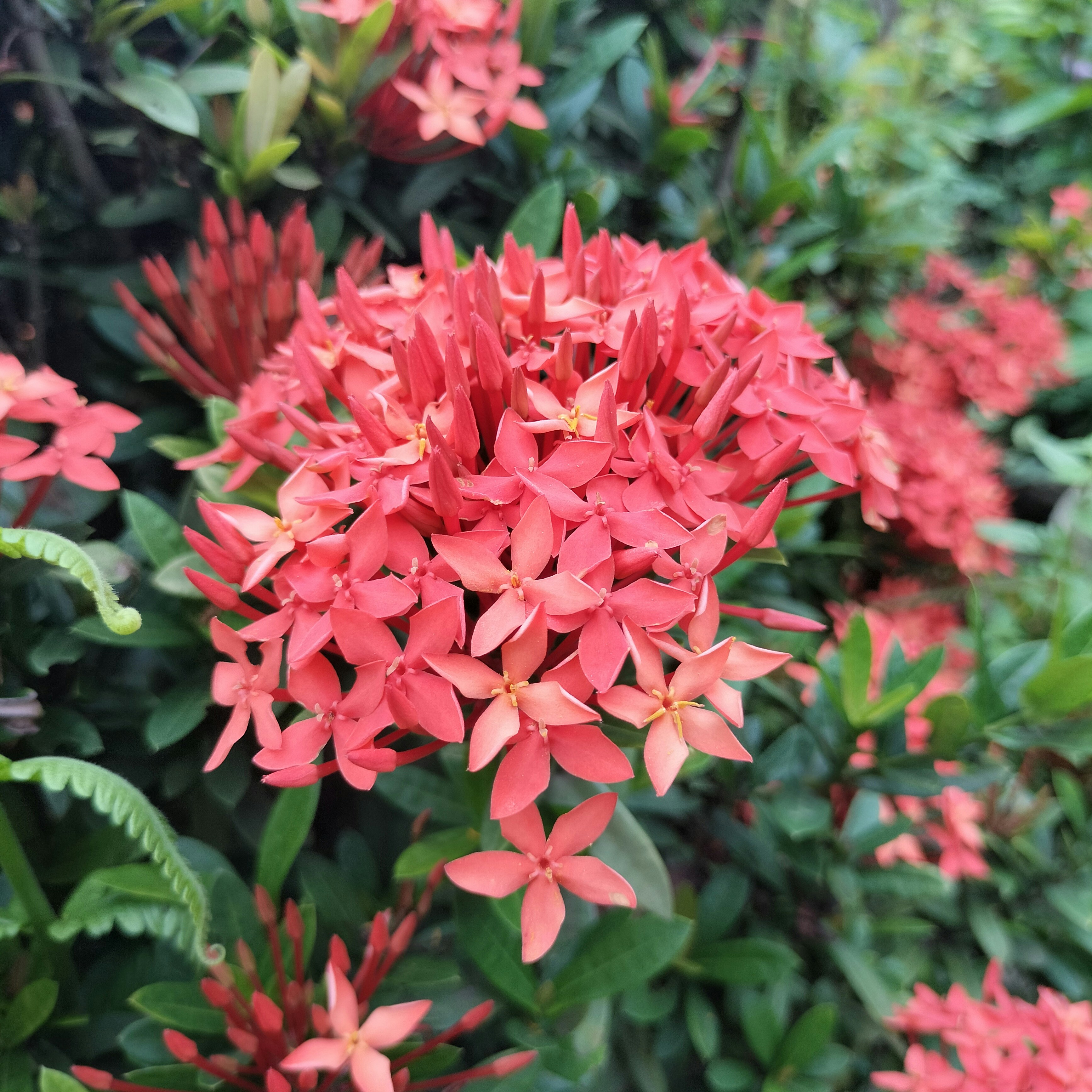 Photo by parvinaktar