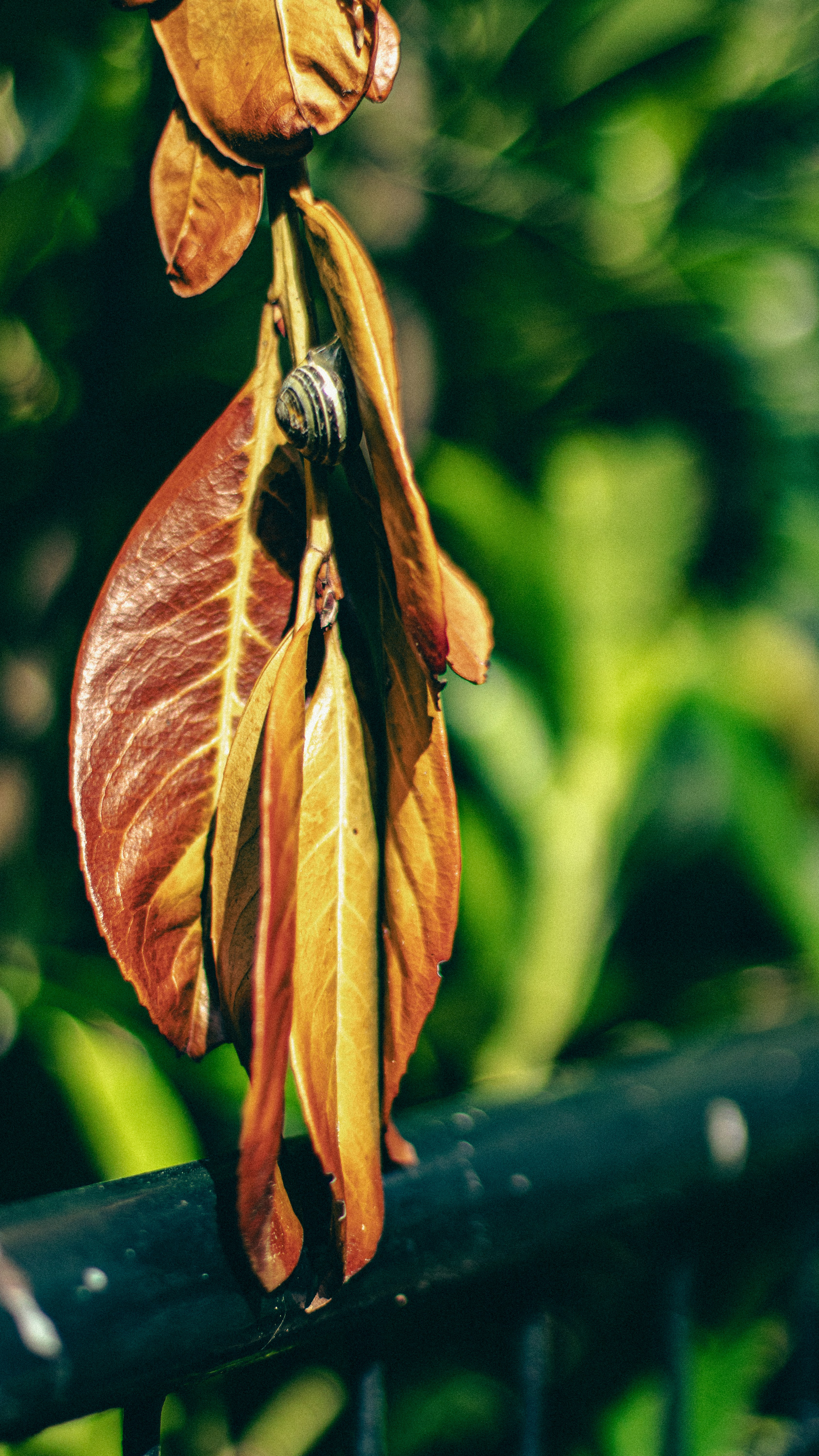 Photo by pizza_crust_slayer