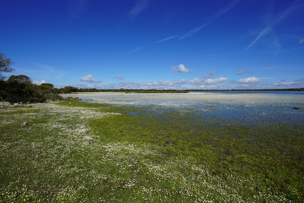 a large body of water sitting next to a lush green field