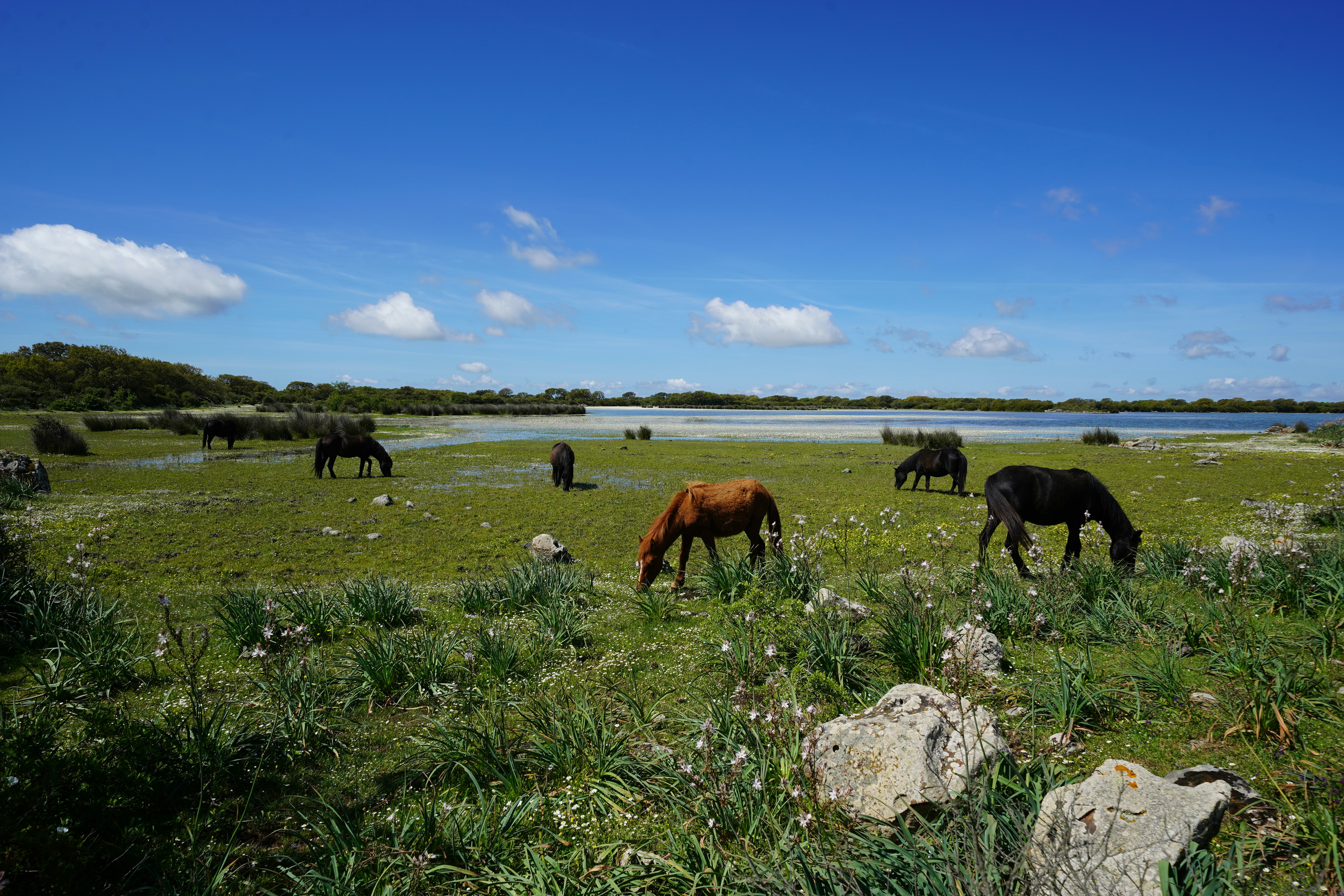 Photo by sardinien_blog