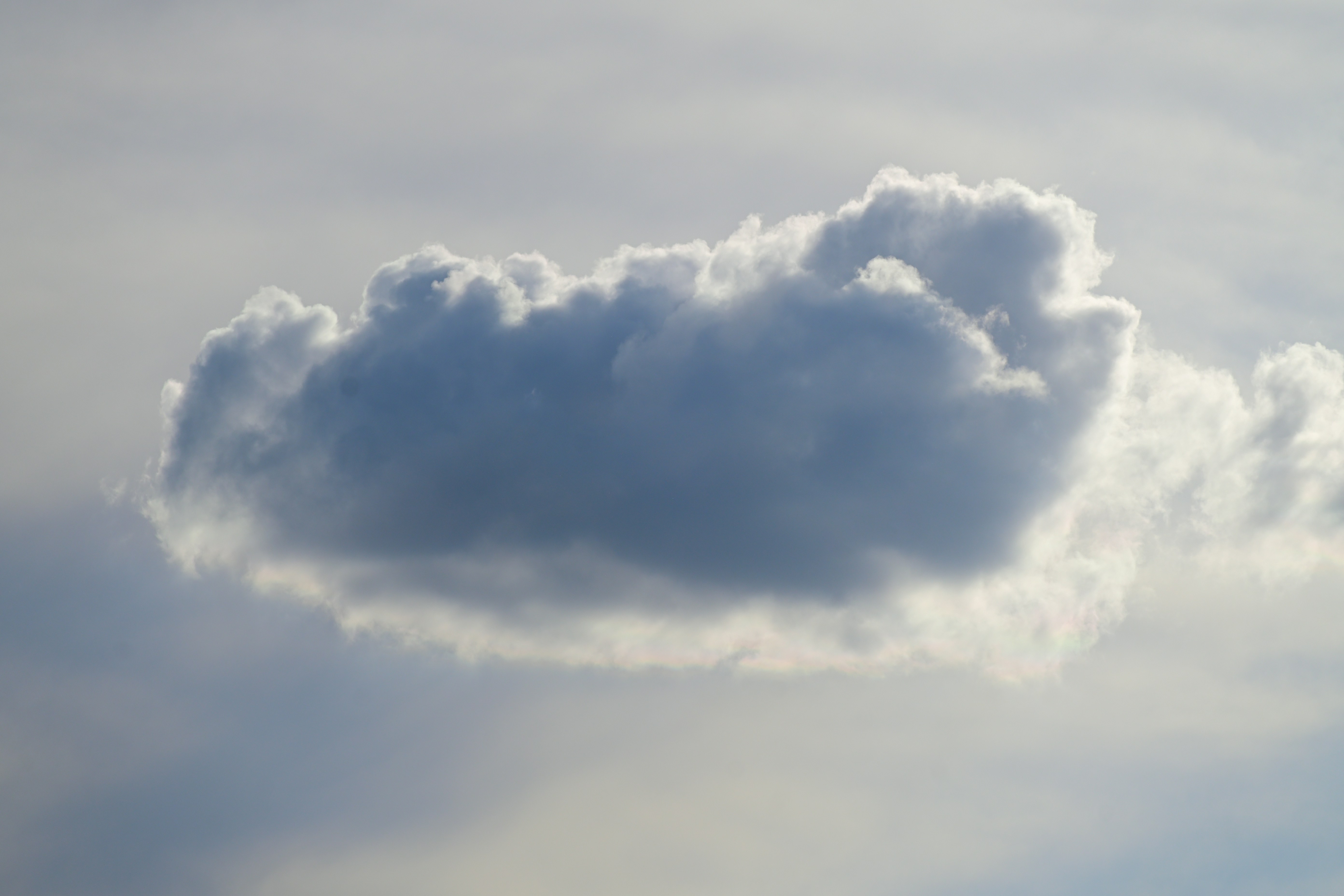 Photo by aminzabardast