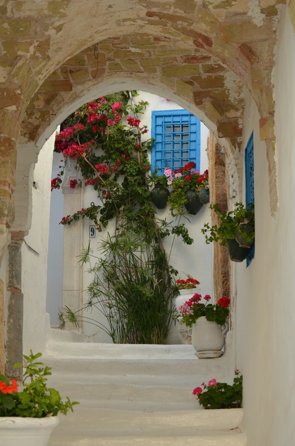 a white building with blue shutters and a bunch of flowers
