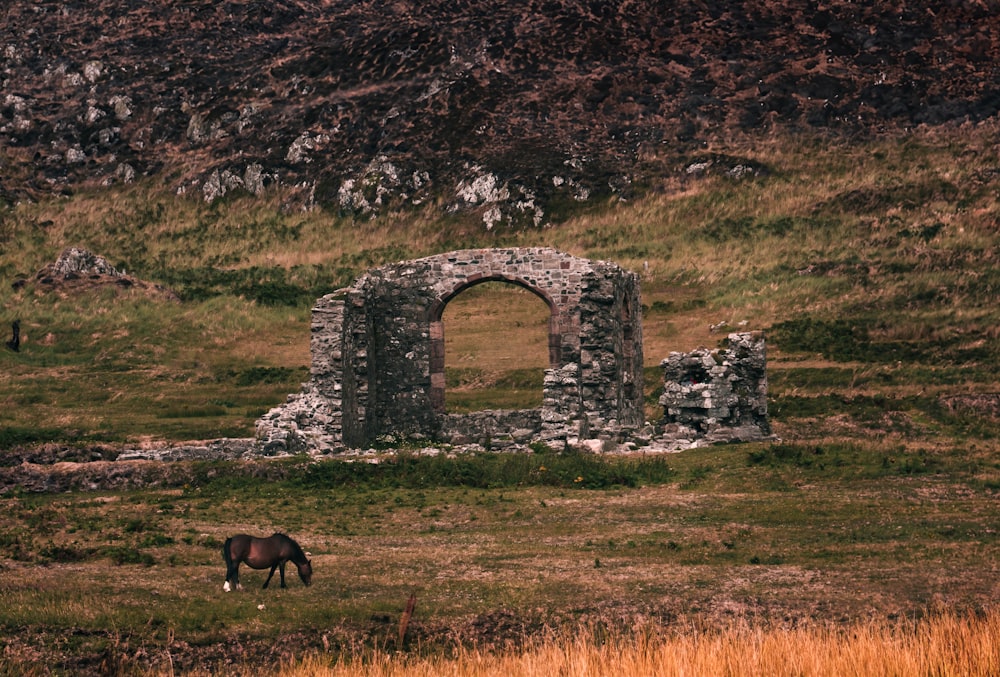 a horse grazing in a field next to a stone structure