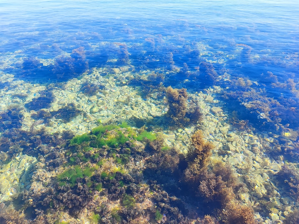 a view of the ocean from a plane