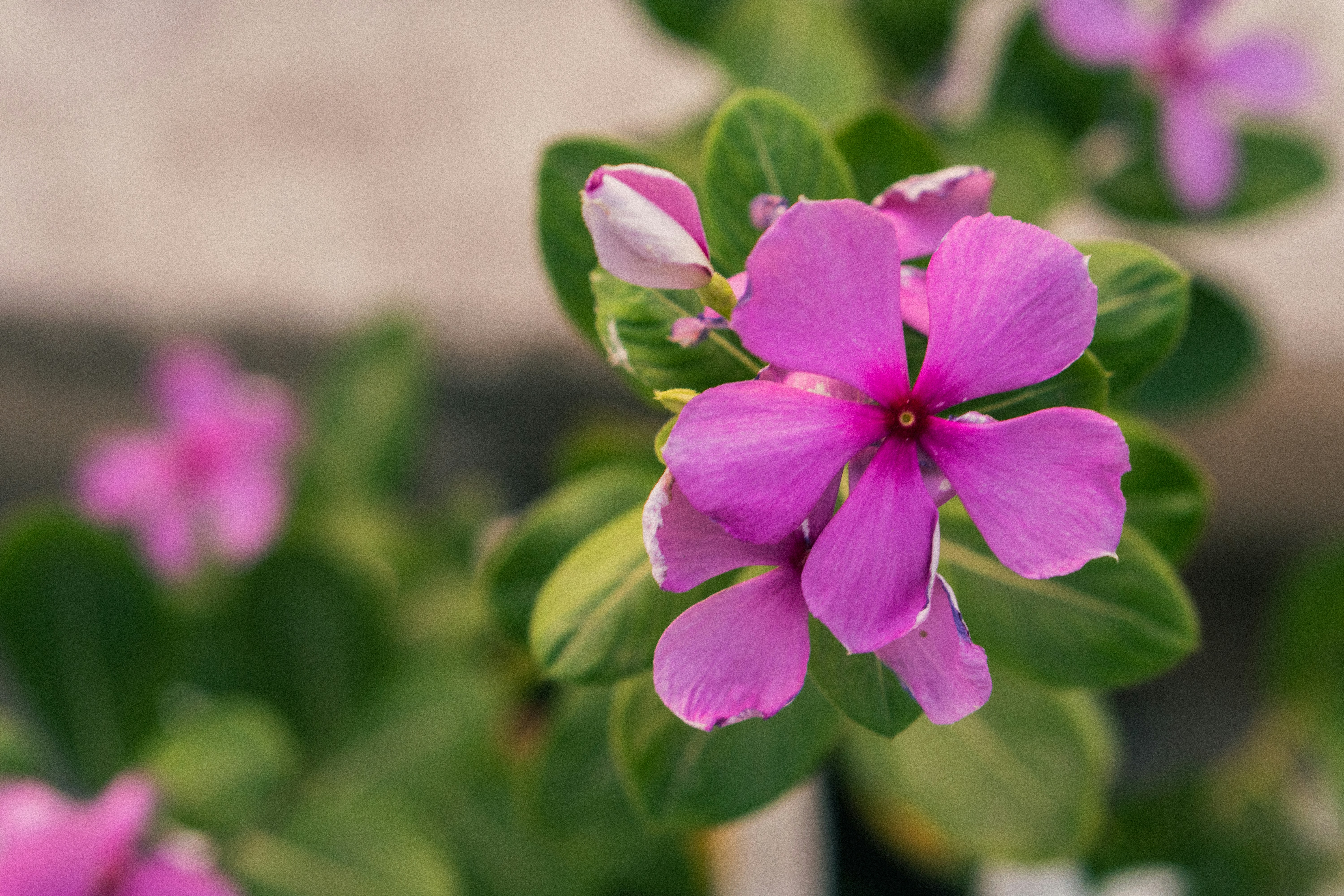 Photo by notsoaakash