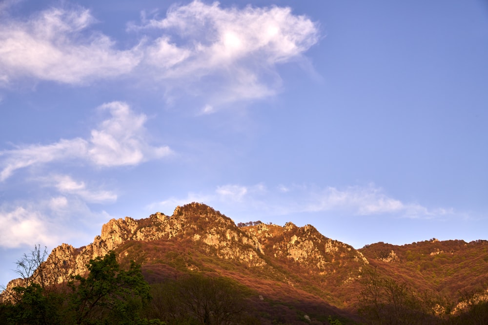 a view of the top of a mountain with trees in the foreground