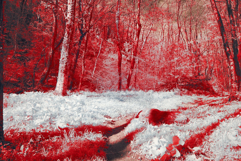 a red and white photo of a path in the woods