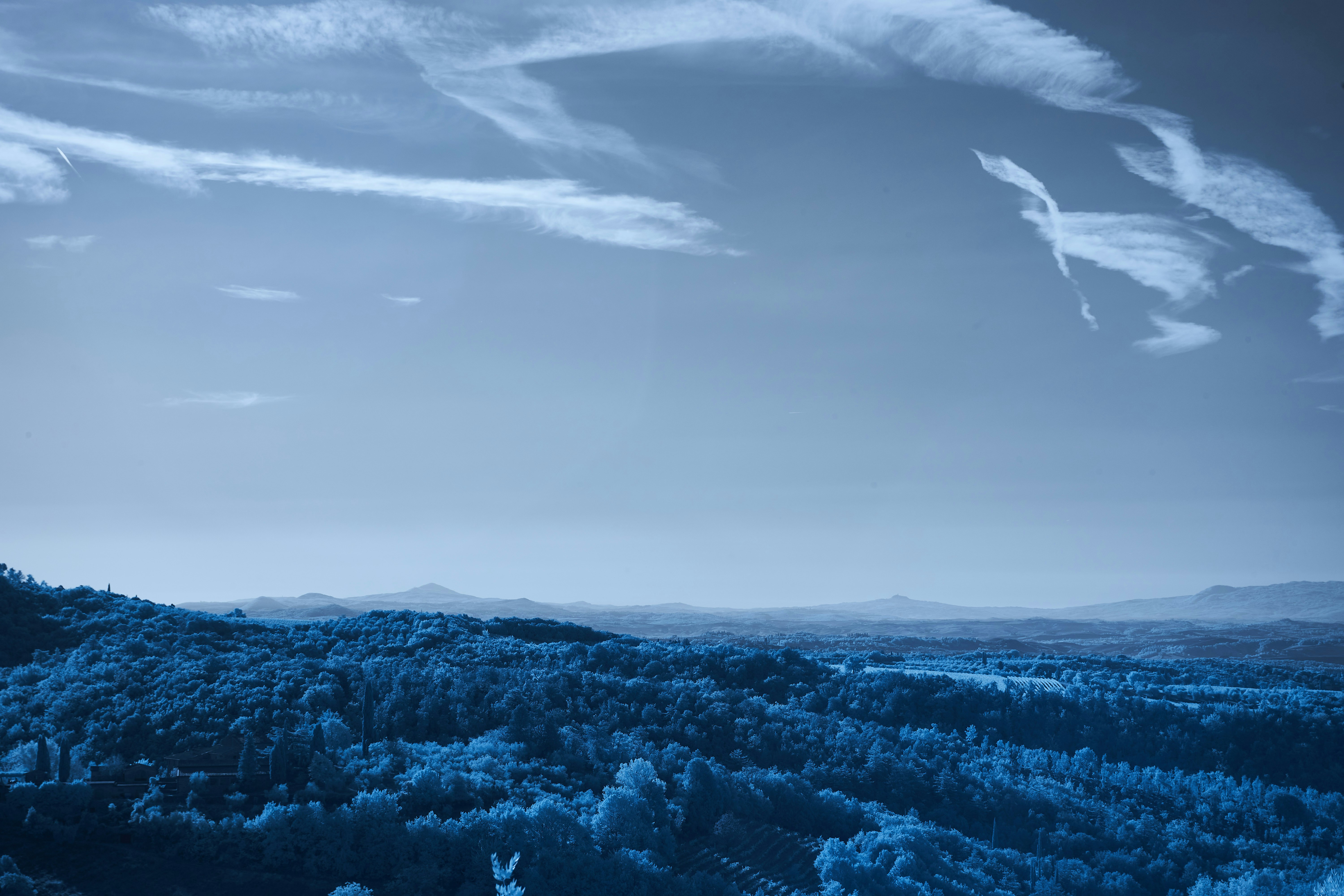 Photo by wolfgang_hasselmann