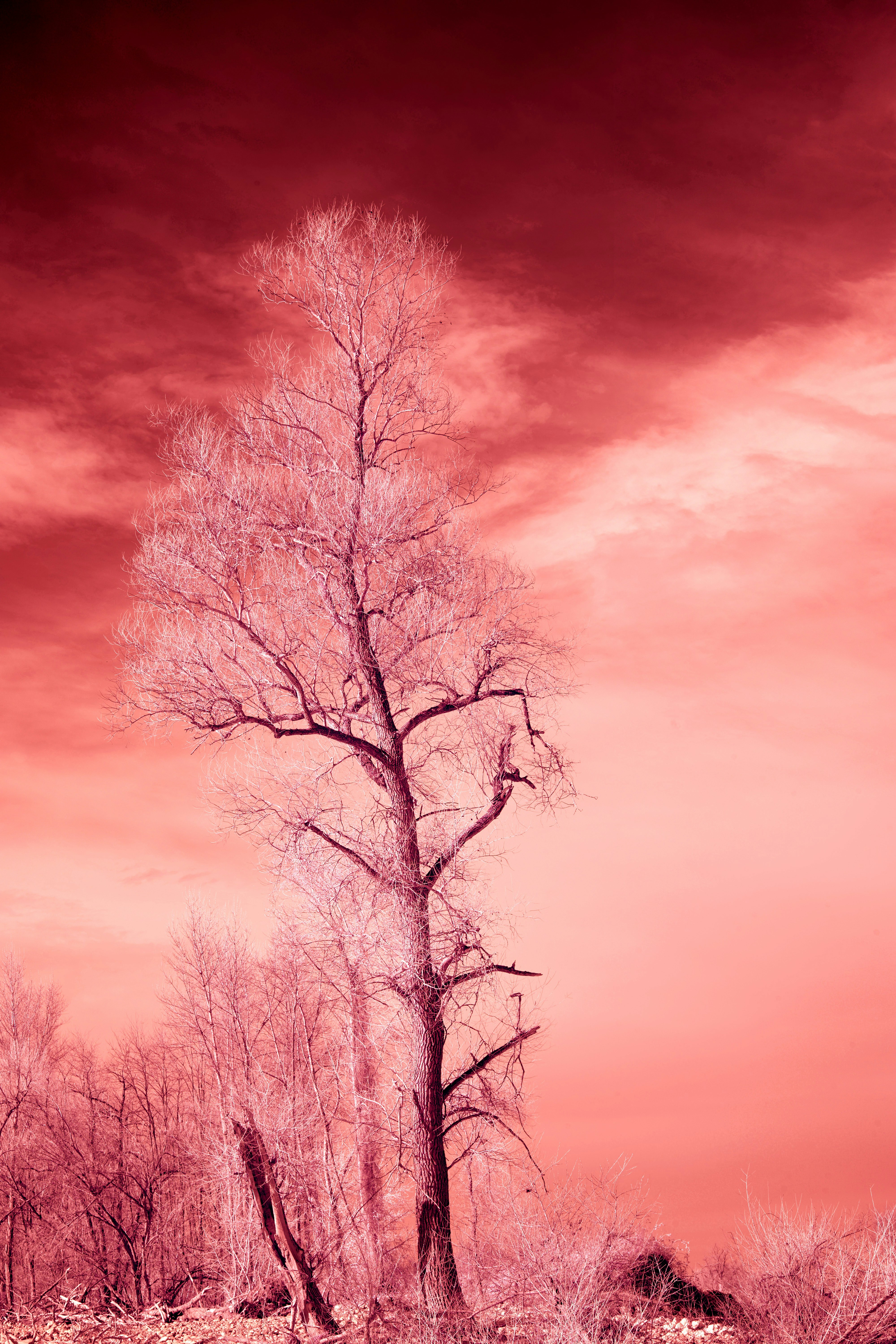 Photo by wolfgang_hasselmann