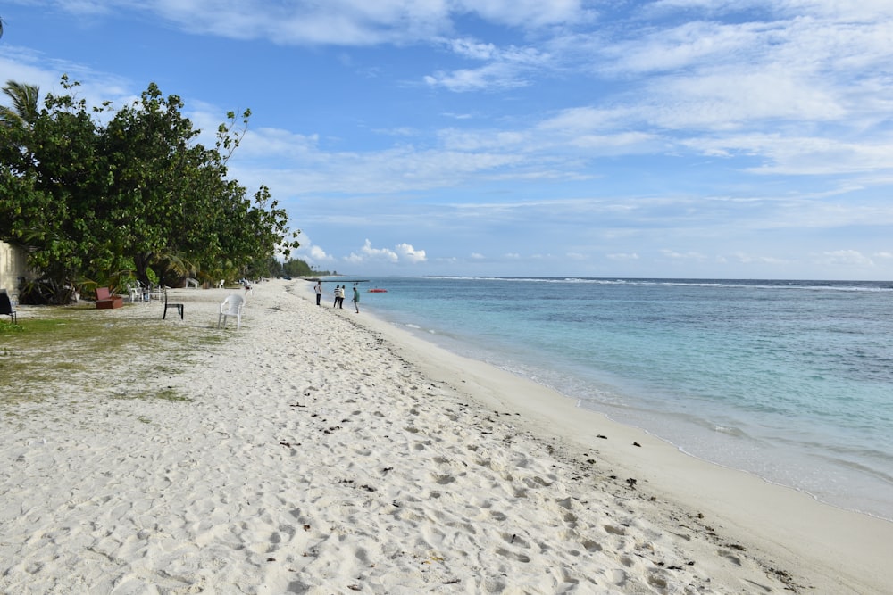 a sandy beach with people walking on it