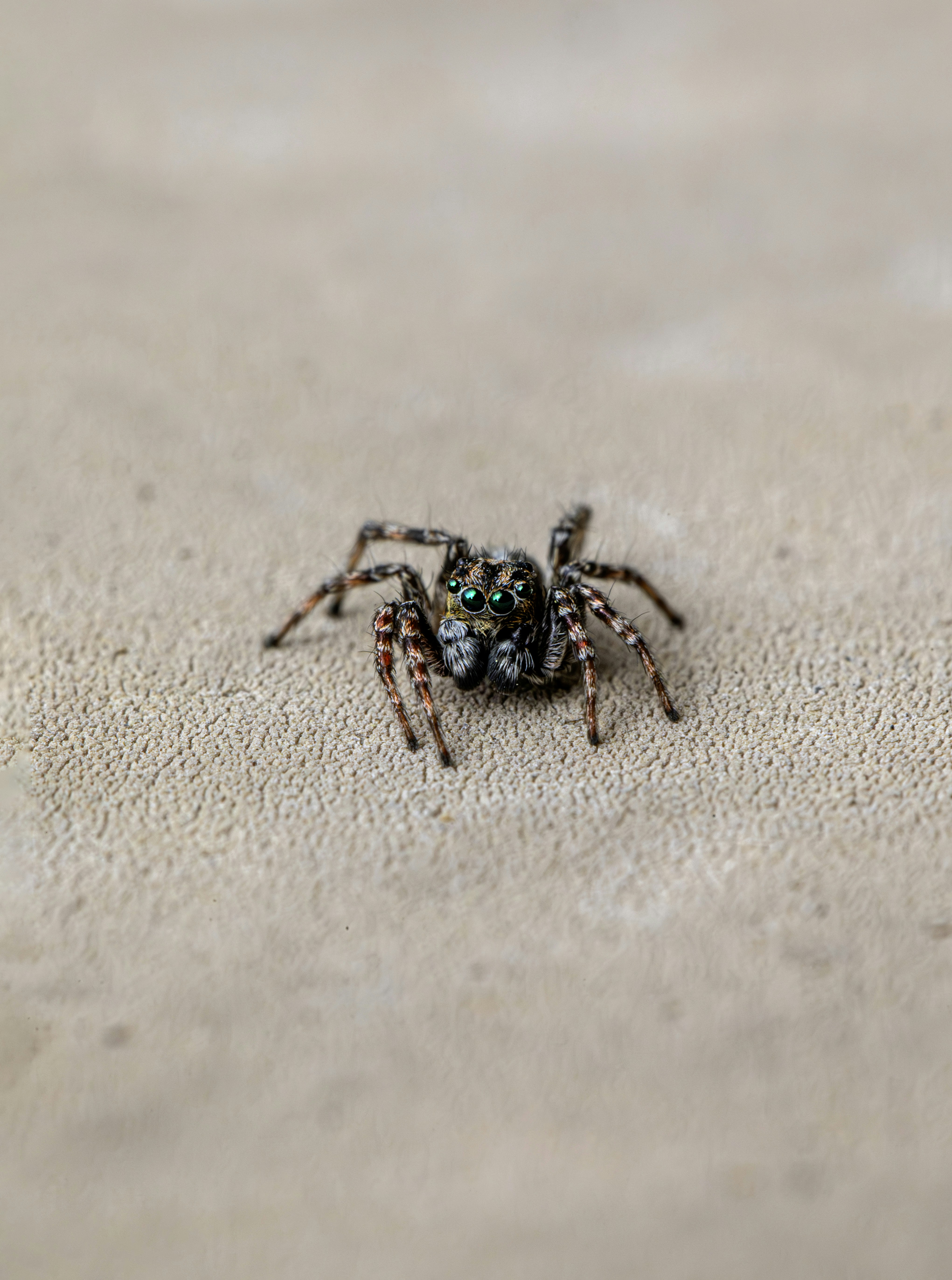 Photo by erik_karits