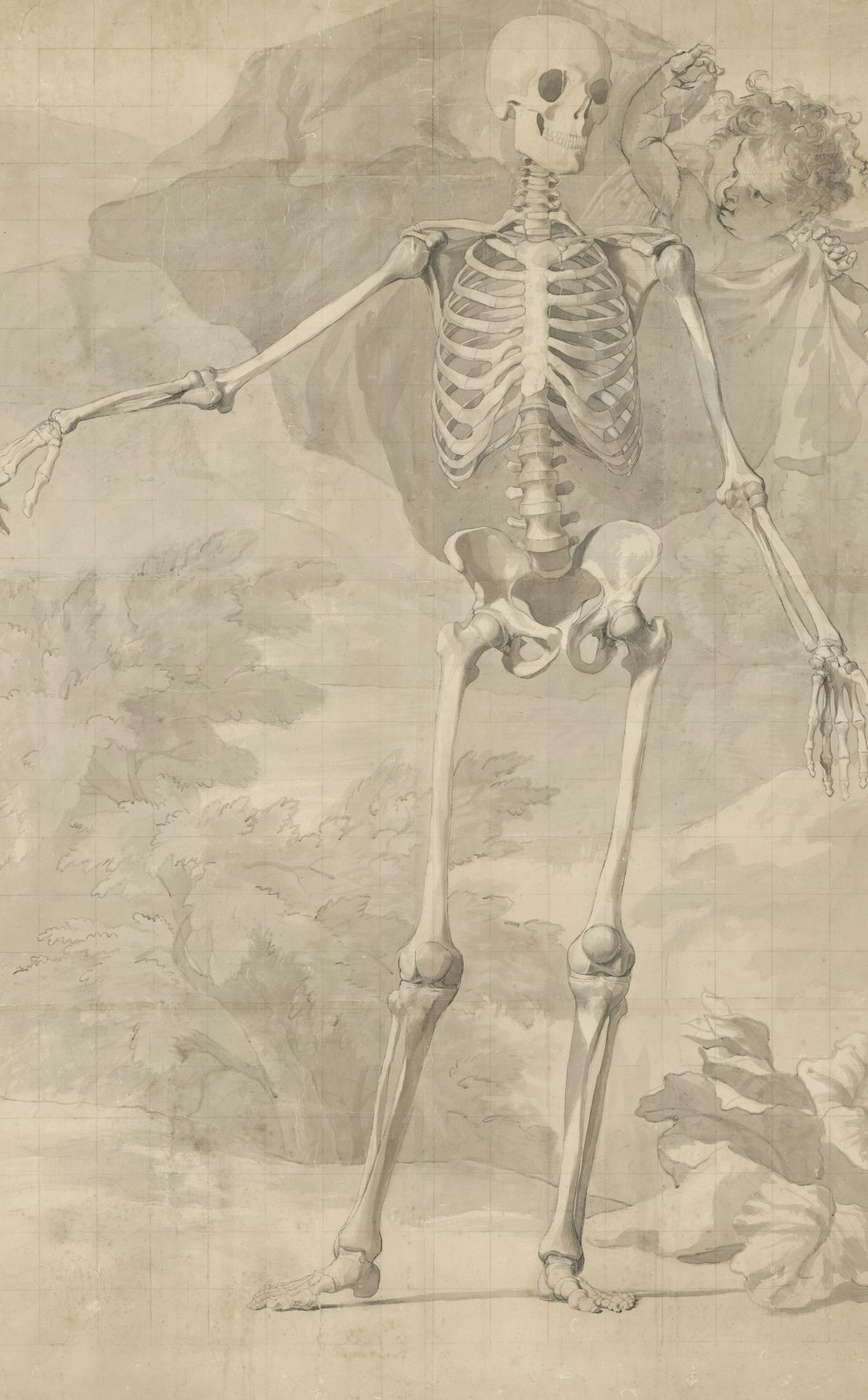 a drawing of a skeleton standing in a field