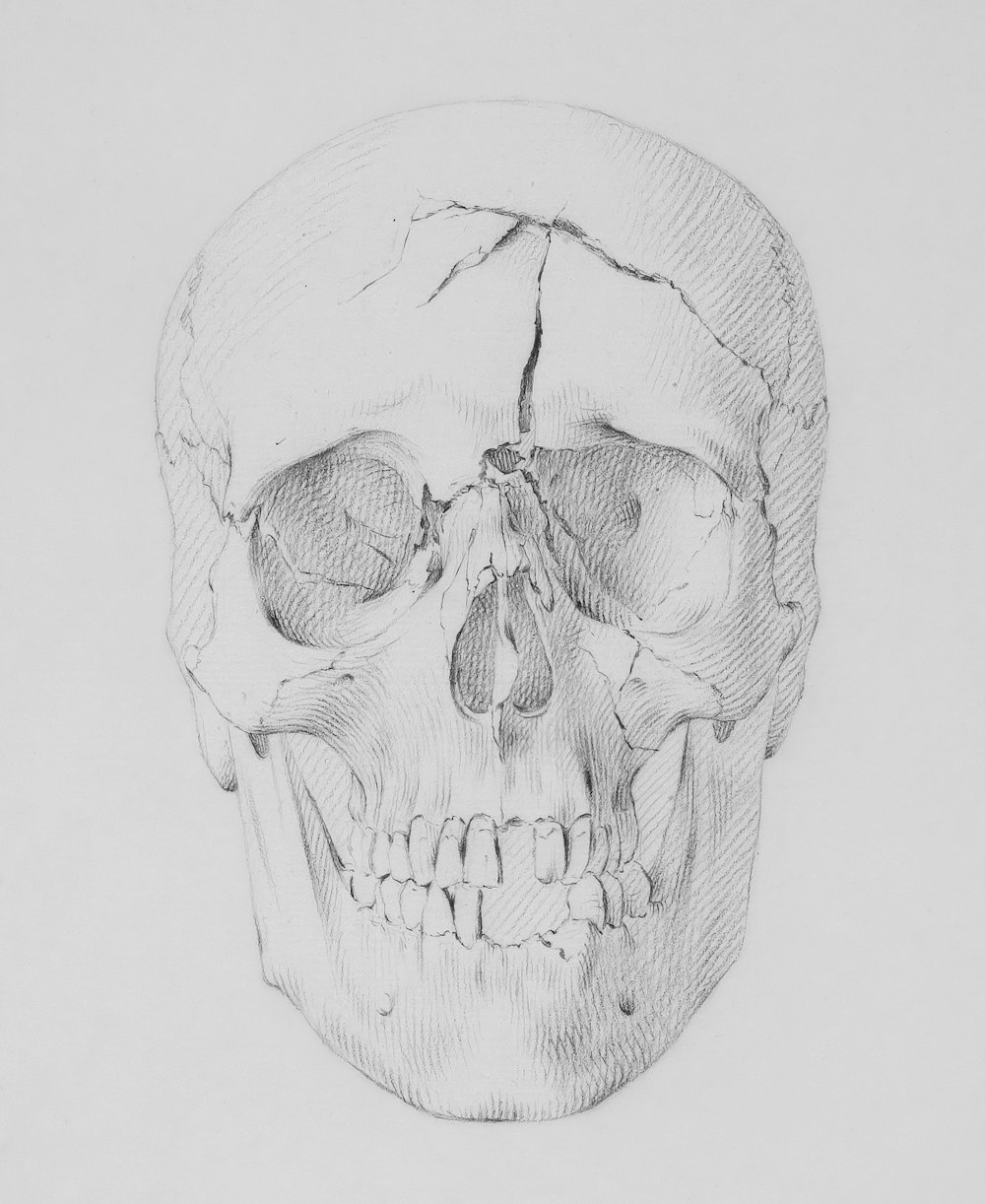 a black and white drawing of a human skull