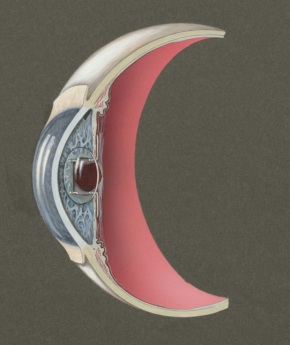 a drawing of a half - moon with a hole in the middle