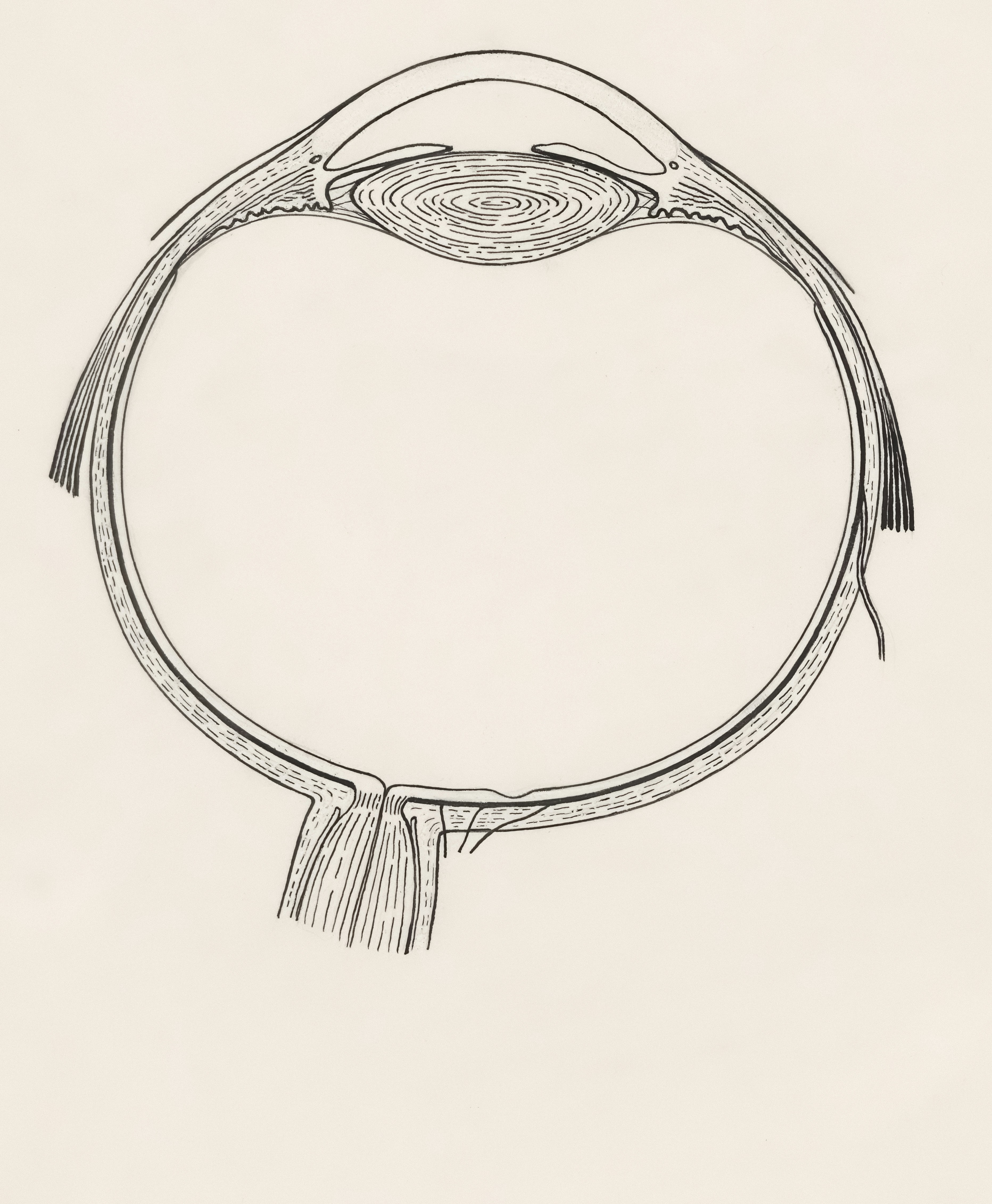 un disegno di un oggetto circolare con una nappa