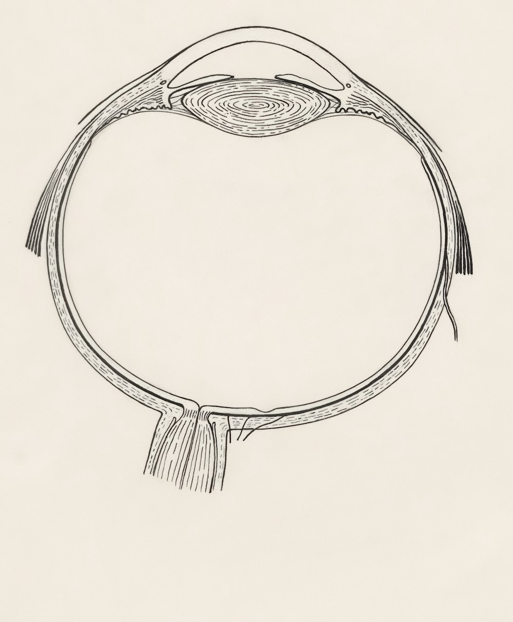 a drawing of a circular object with a tassel