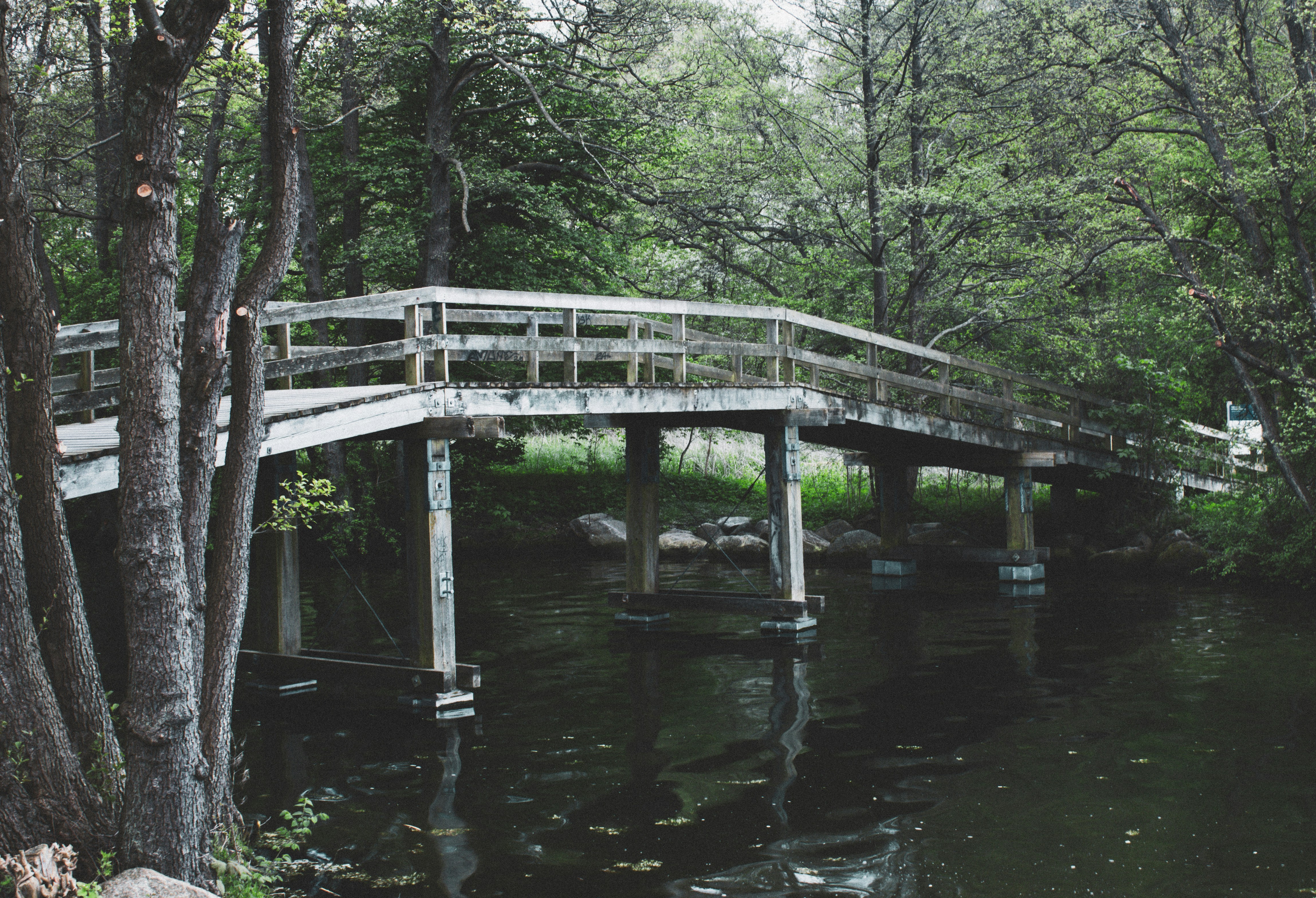 Photo by hugothephotographer