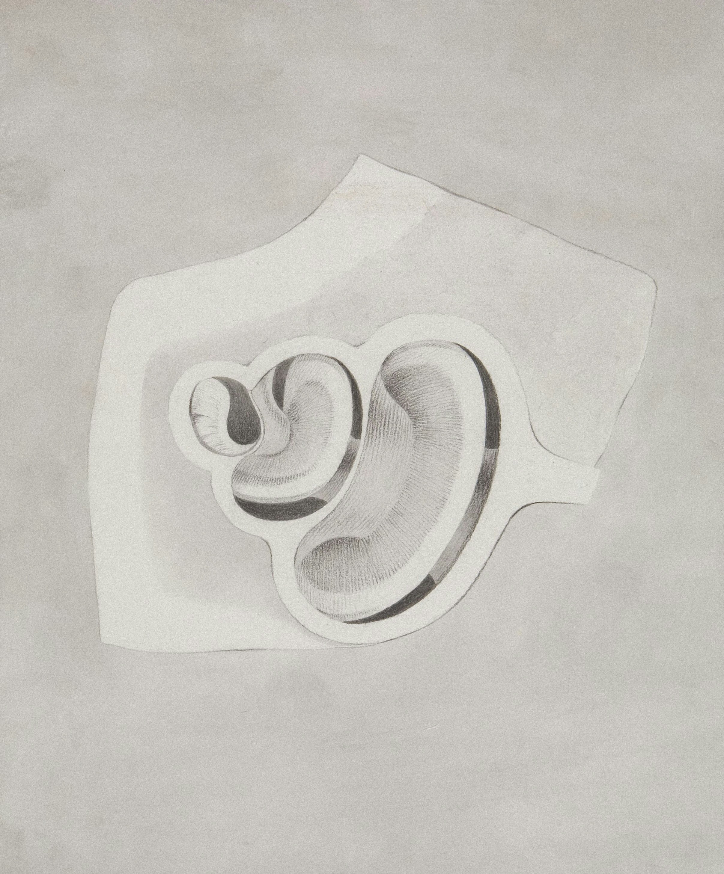 human ear anatomy close up, wallpaper, Kuping Budeg Sebelah: 5 Cara Mengatasi & Solusi Efektifnya 3