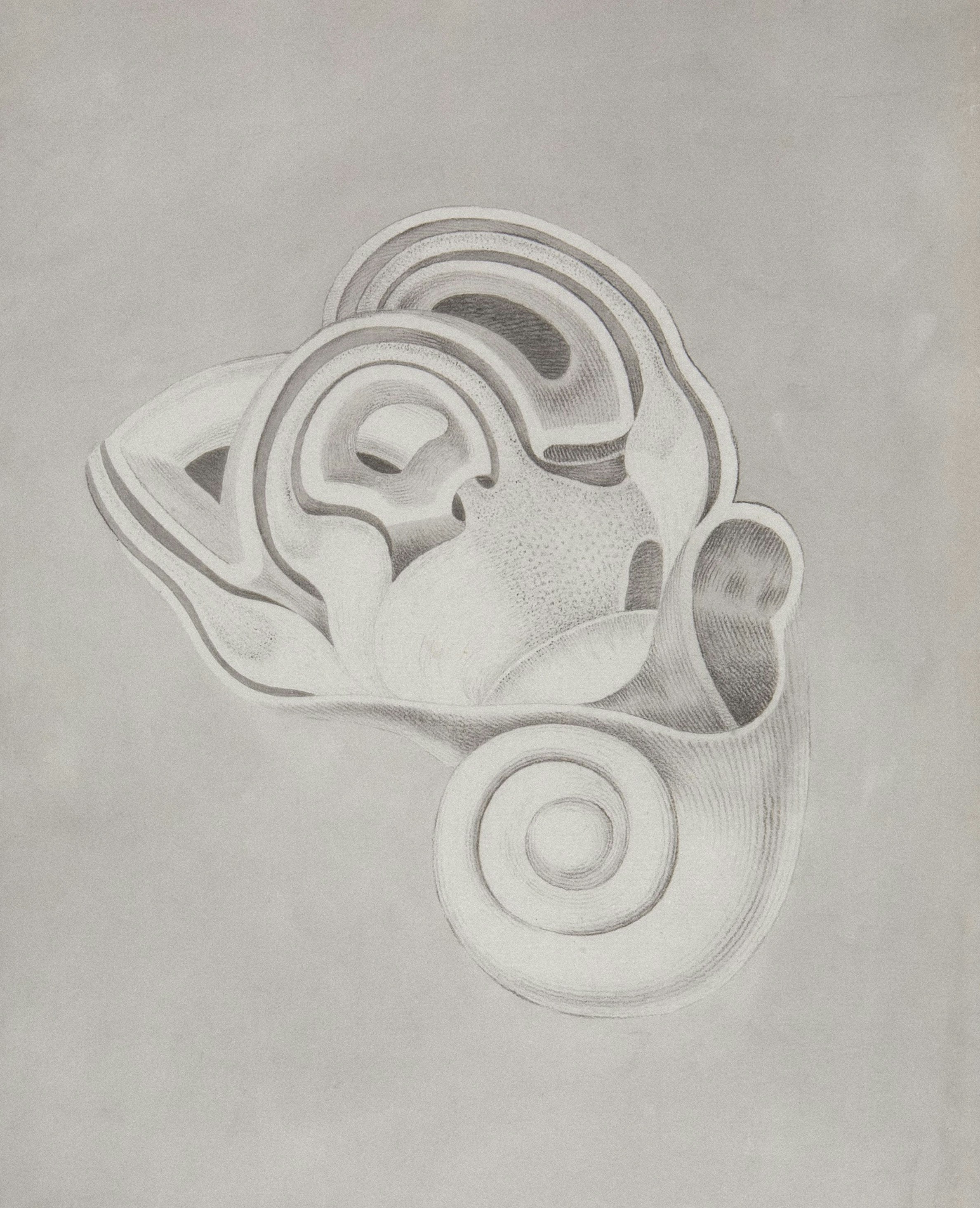 a drawing of an abstract object on a gray background