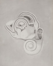 pencil drawing of the inner ear