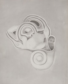 pencil drawing of the inner ear