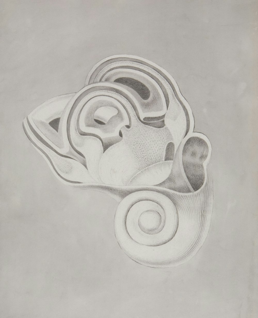 a drawing of an abstract object on a gray background