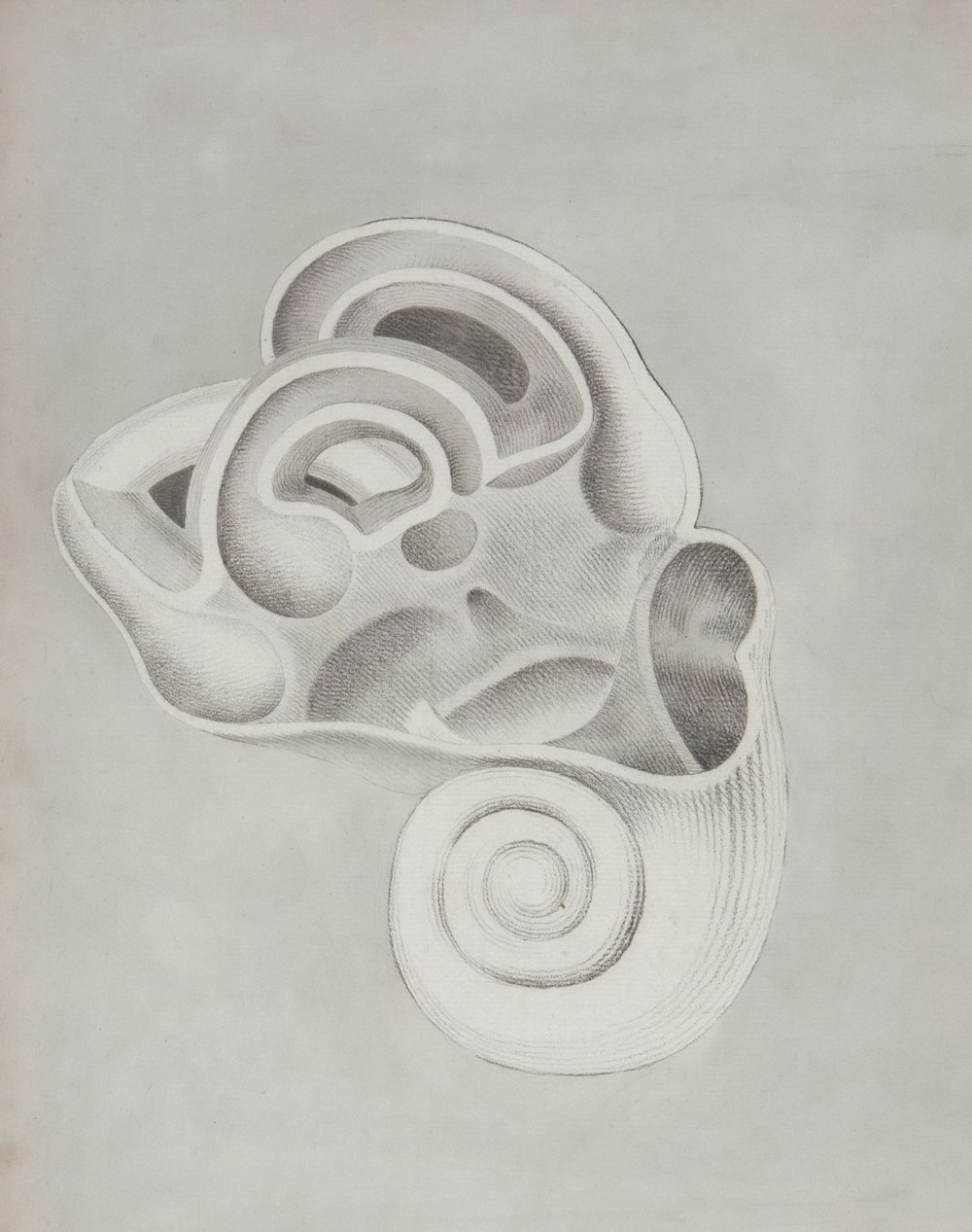 a black and white drawing of a flower