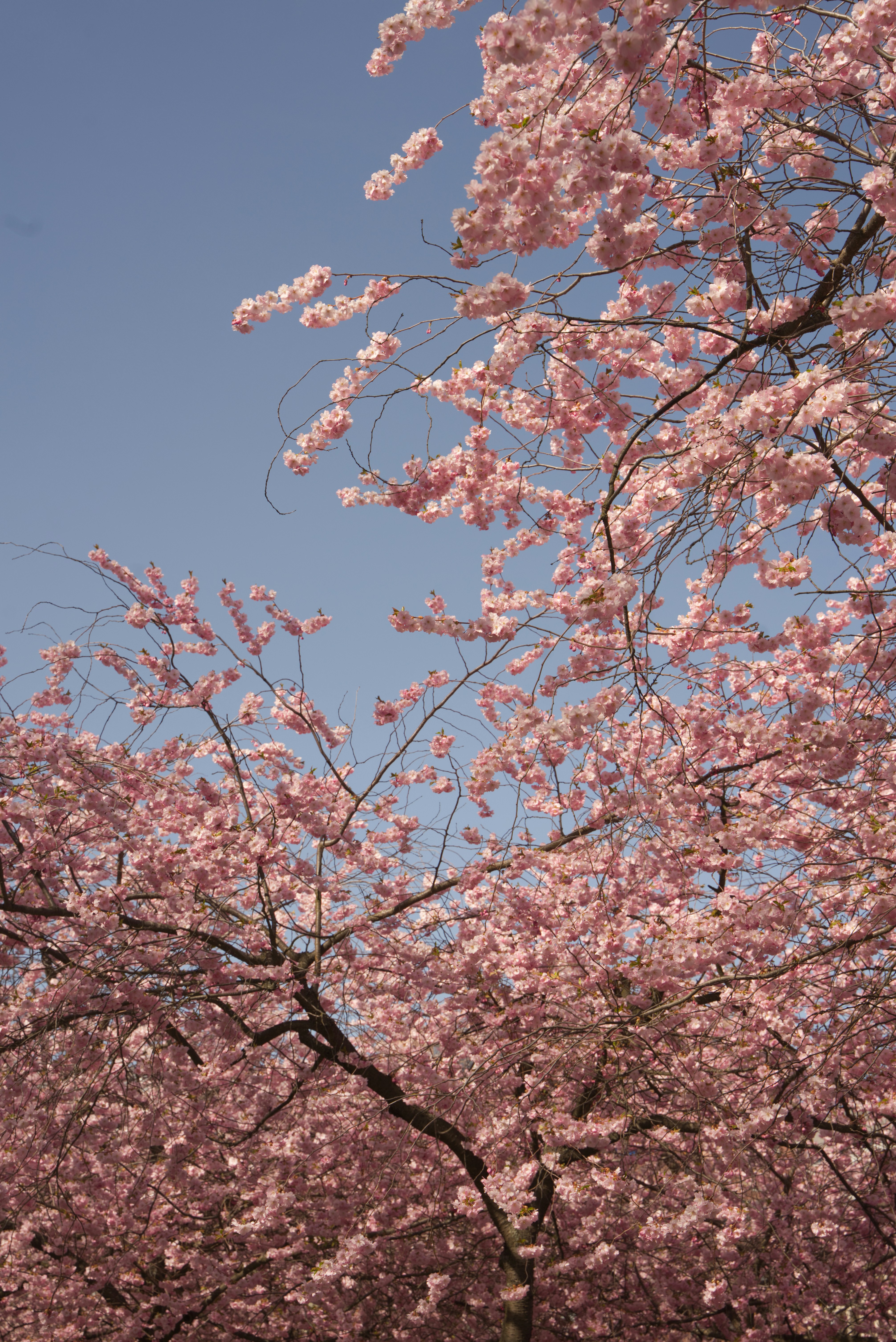 Photo by komplex_polygon