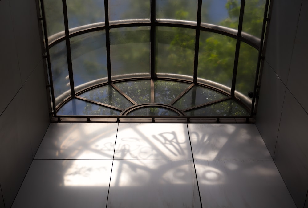 a window that has a tree in it