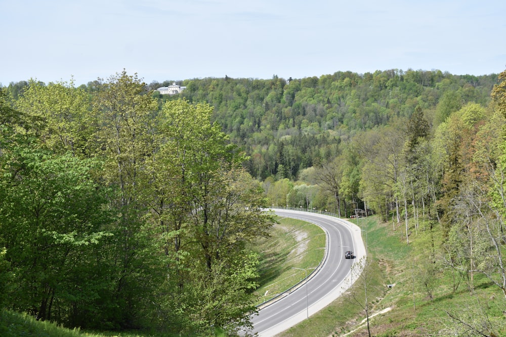 a car driving down a road in the middle of a forest