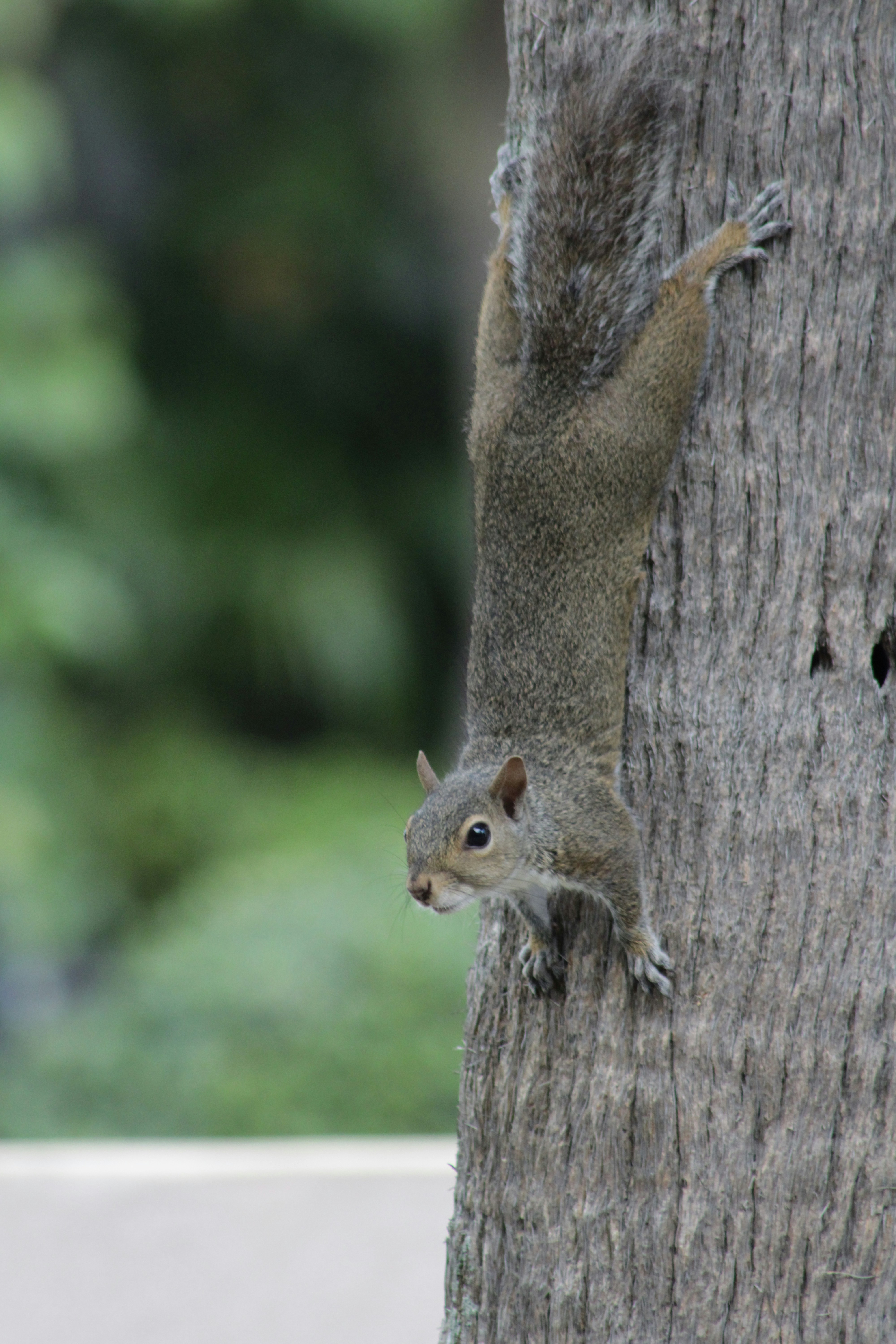 Photo by a_kowalskii