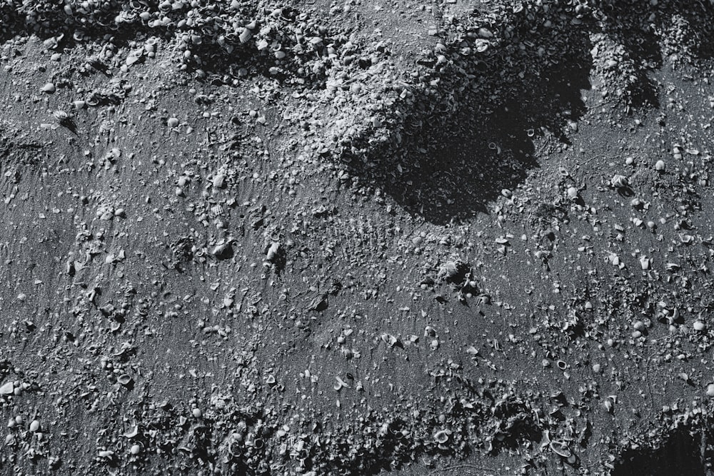 a black and white photo of rocks and dirt