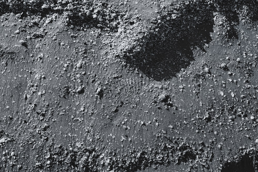 uma foto em preto e branco de rochas e sujeira