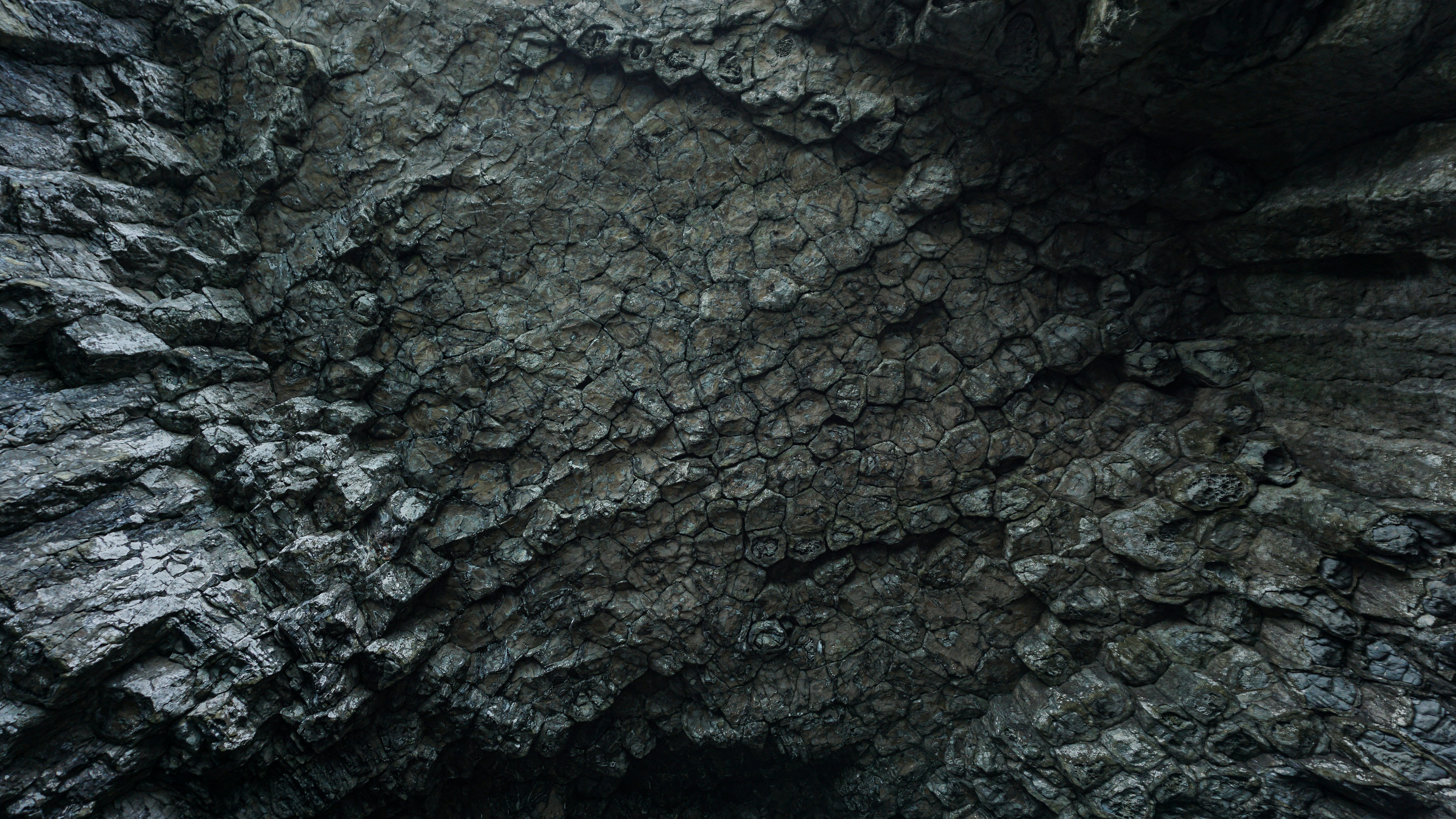 Photo by horseratbros