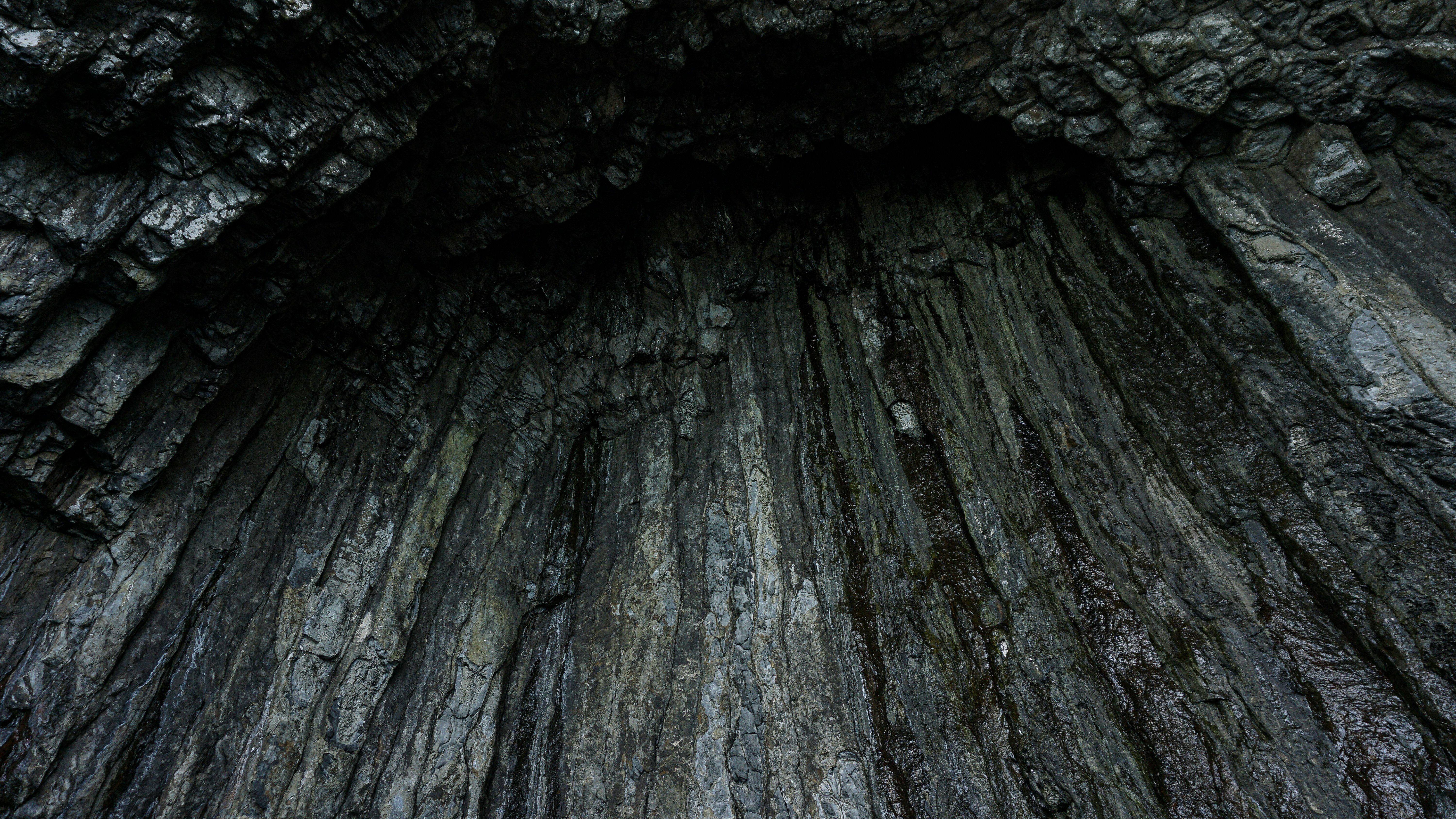 Photo by horseratbros