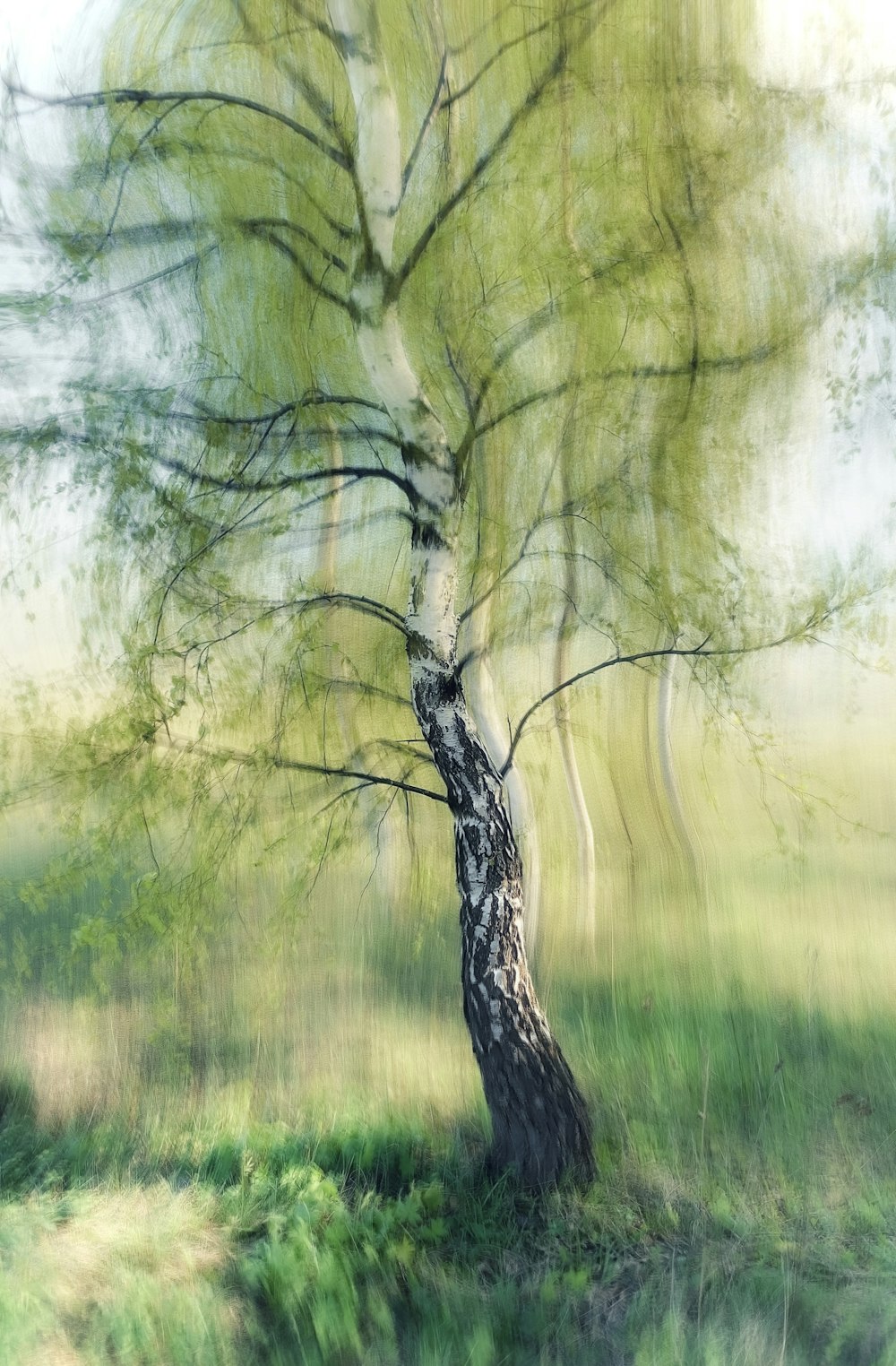 a painting of a tree in a grassy field