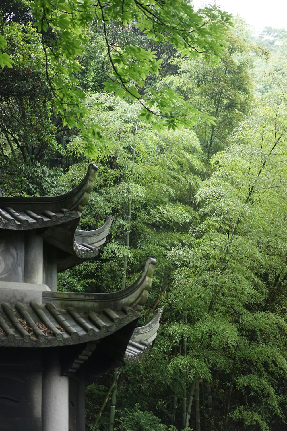 a pagoda in the middle of a forest