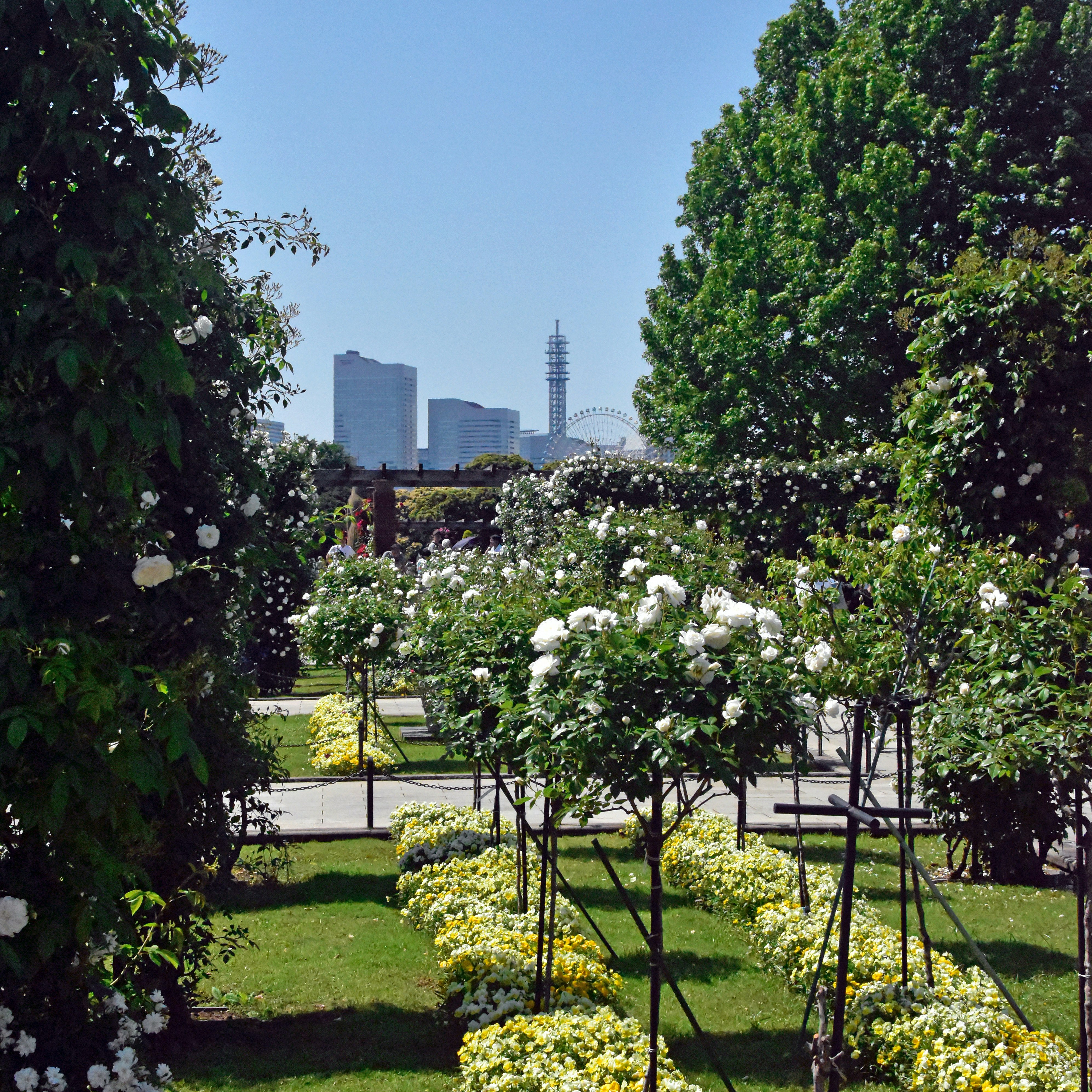 Jardin Anglais photo 3